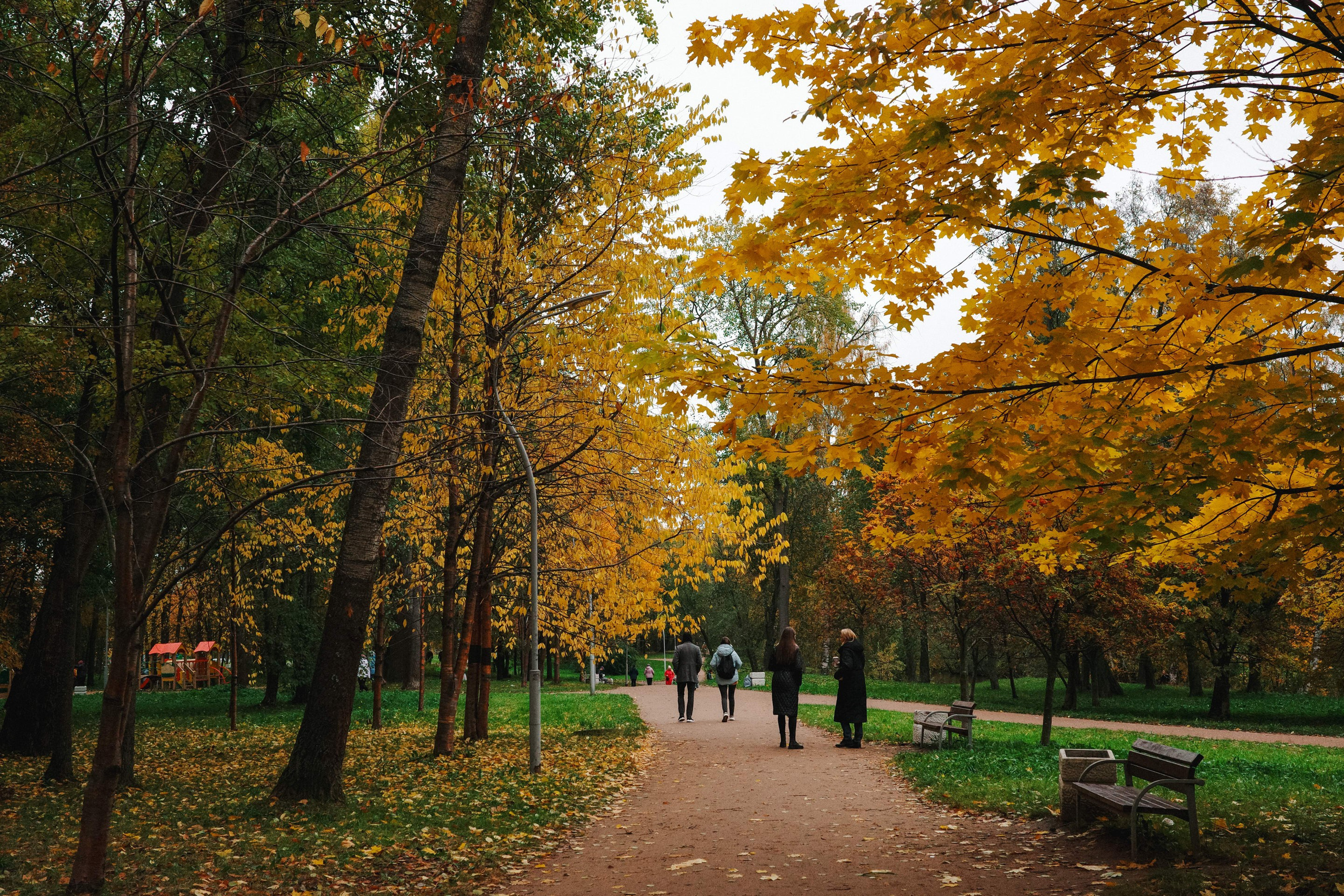 2024.10. Фотограф Алексей Алексеев