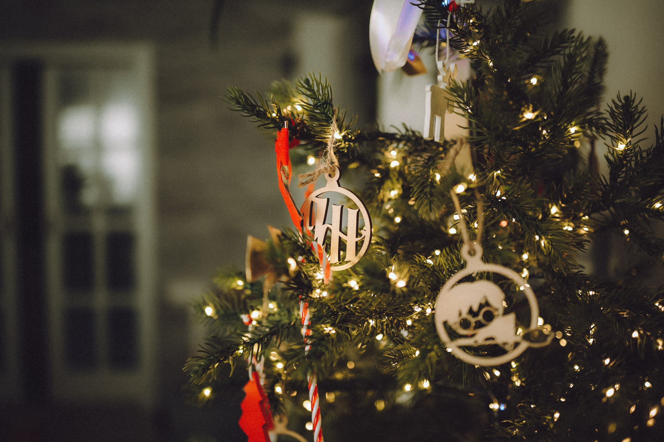 Топик и его семья