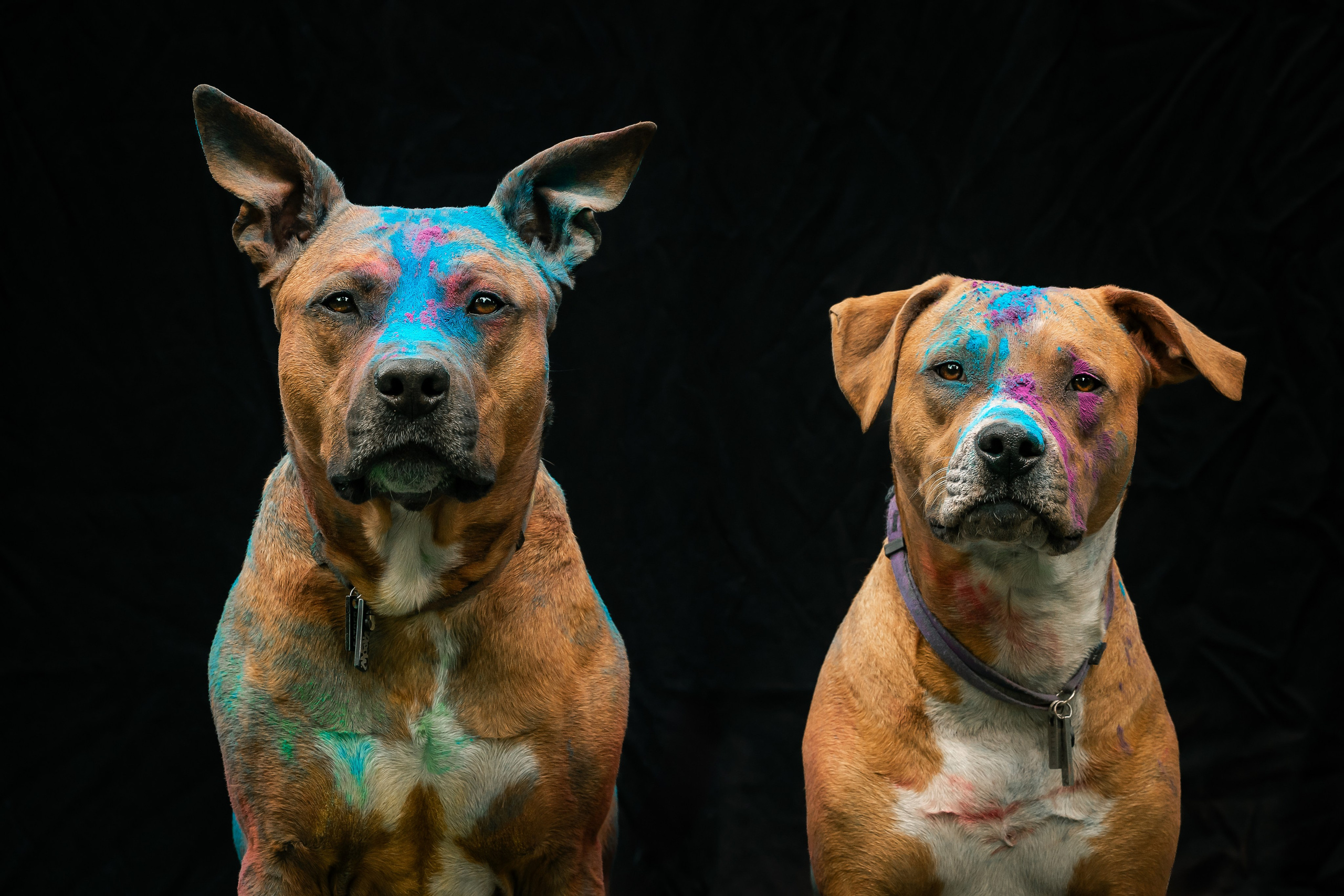 Батлер и Кэти