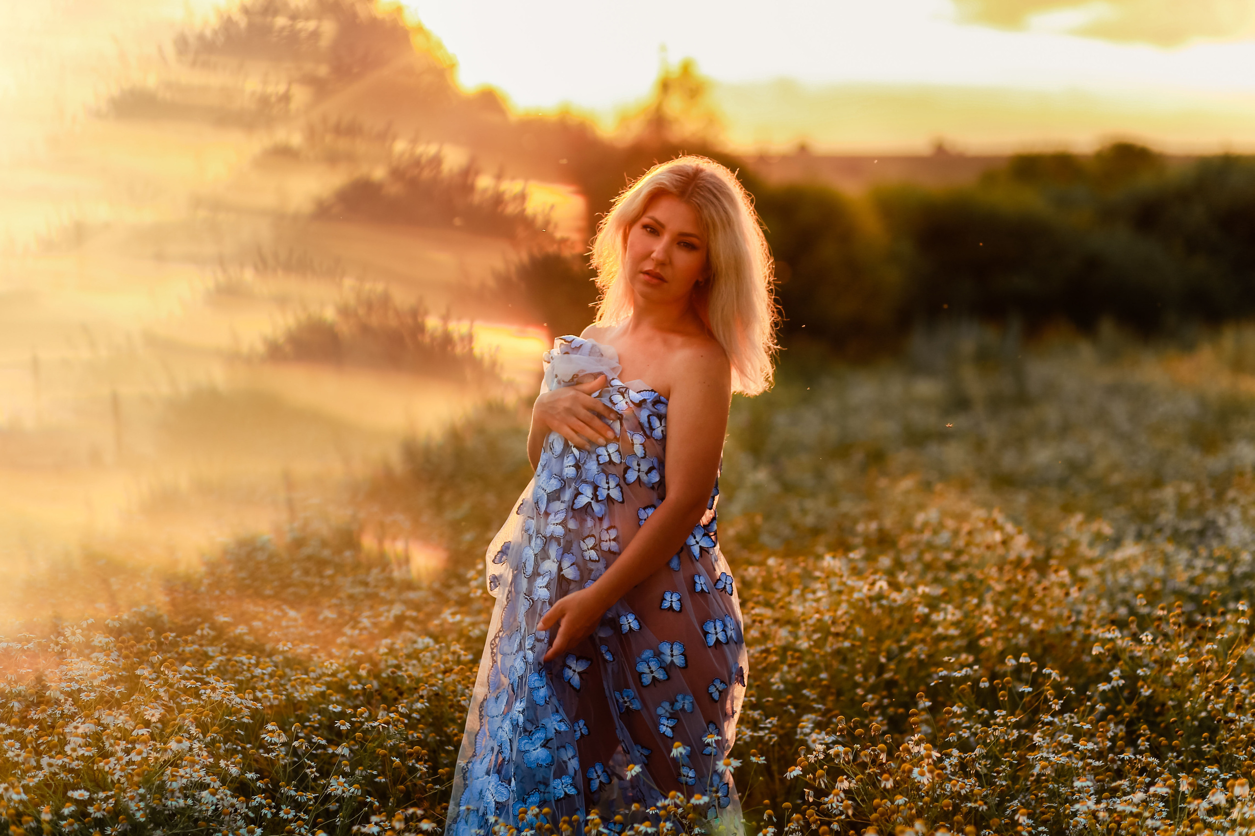 Ромашки)в ожидания чудо. Иванова Ирина Свадебный и семейный фотограф г. Уфа