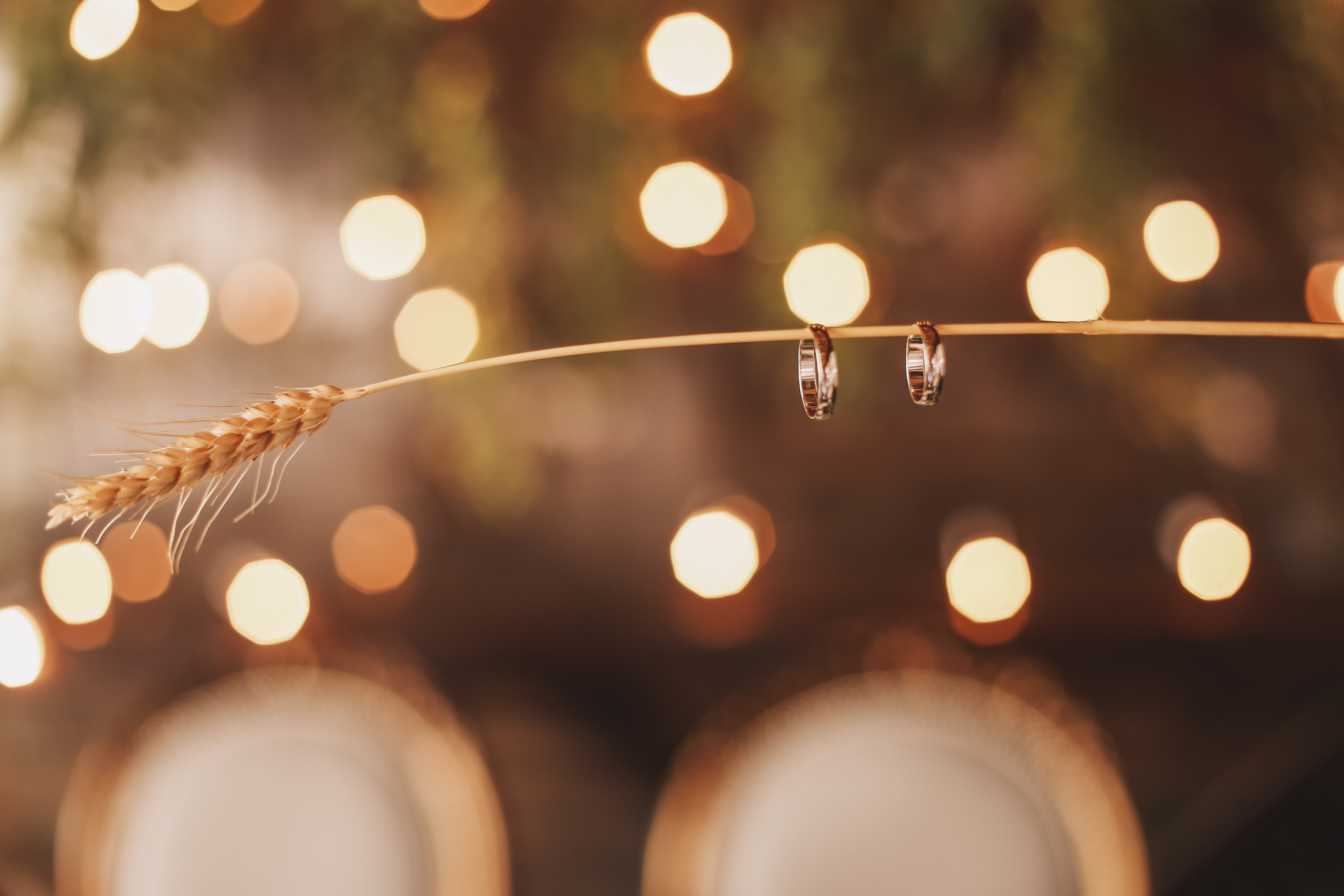 Яна + Глеб. Иванова Ирина Свадебный и семейный фотограф г. Уфа