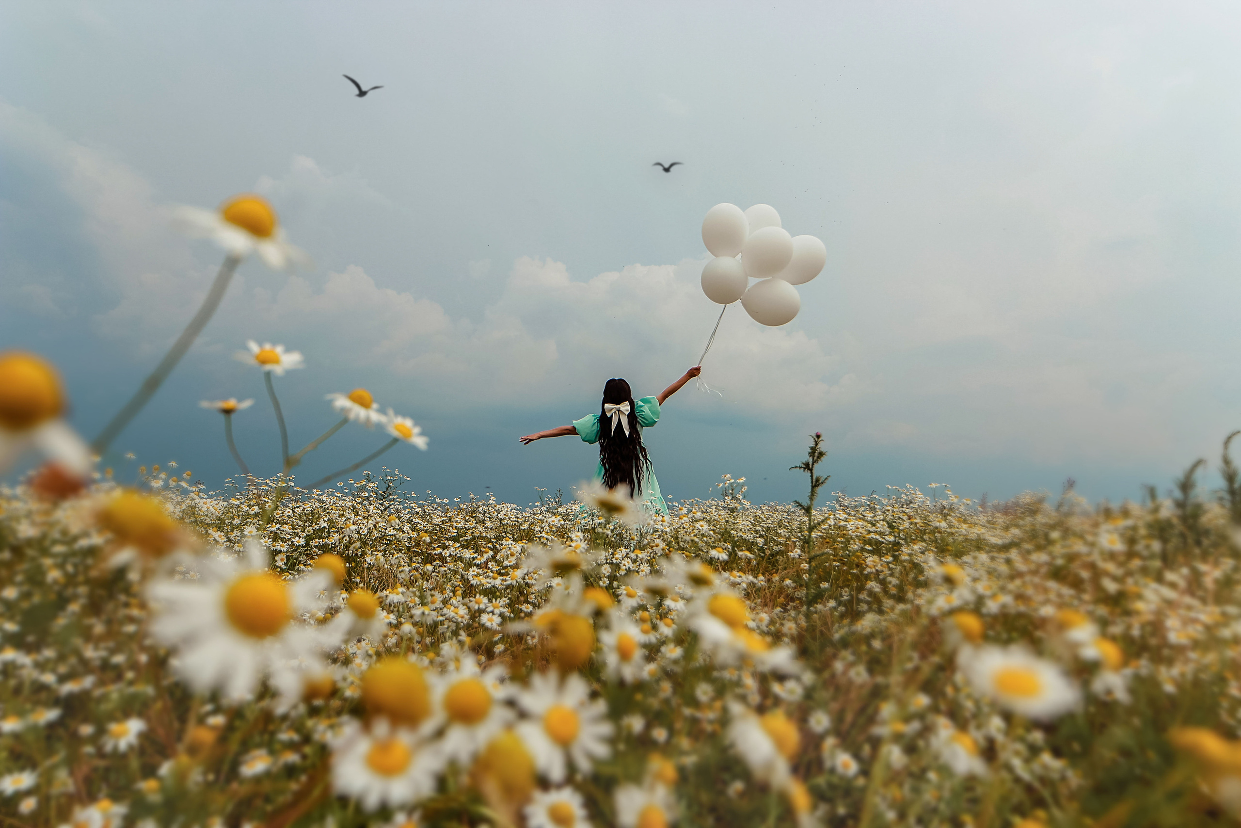 Фотосессия в ромашках. Иванова Ирина Свадебный и семейный фотограф г. Уфа