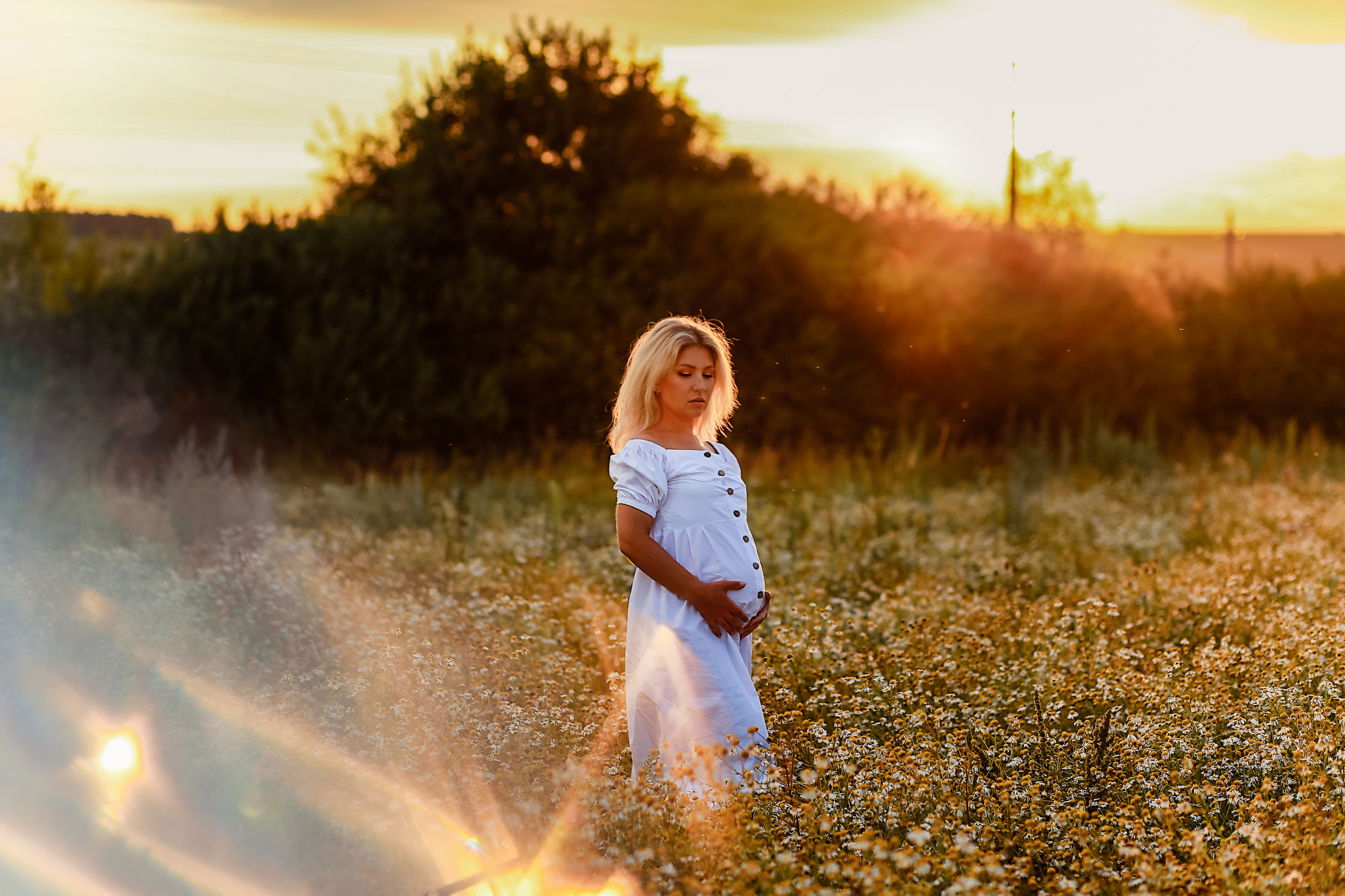 Ромашки)в ожидания чудо. Иванова Ирина Свадебный и семейный фотограф г. Уфа