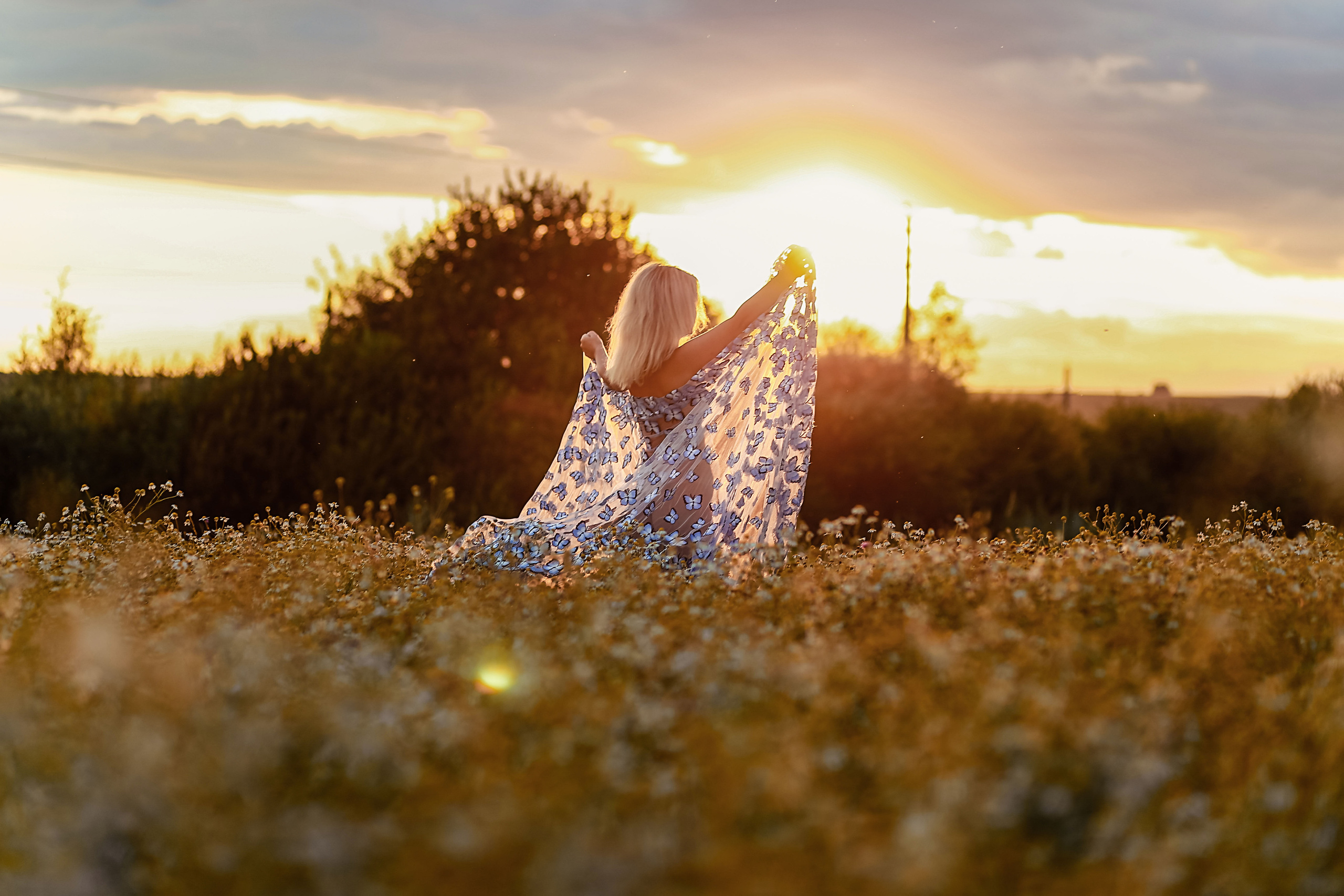 Ромашки)в ожидания чудо. Иванова Ирина Свадебный и семейный фотограф г. Уфа