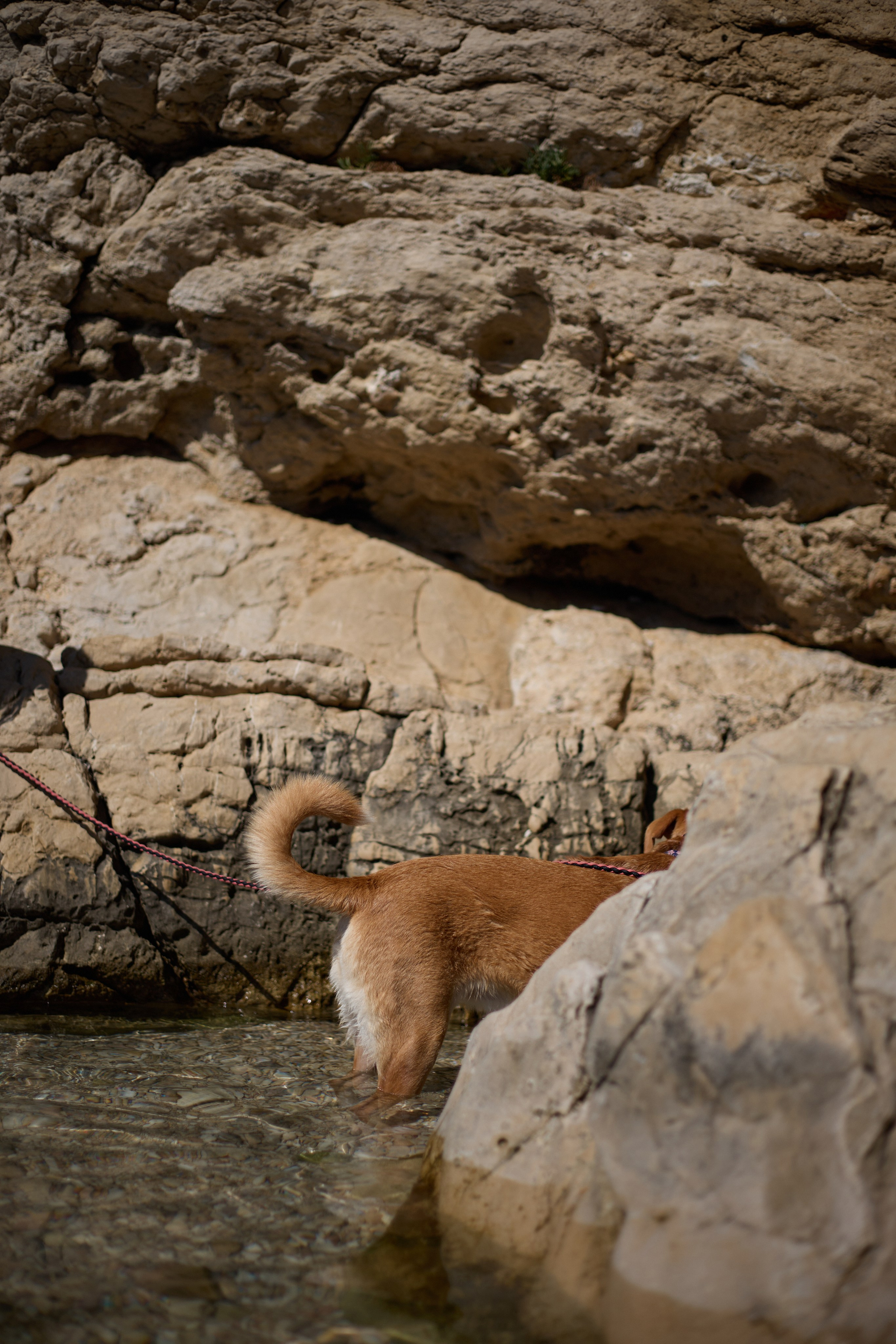 Auriane. Анастасия Зобнинá — фотограф в Санкт-Петербурге/СПб