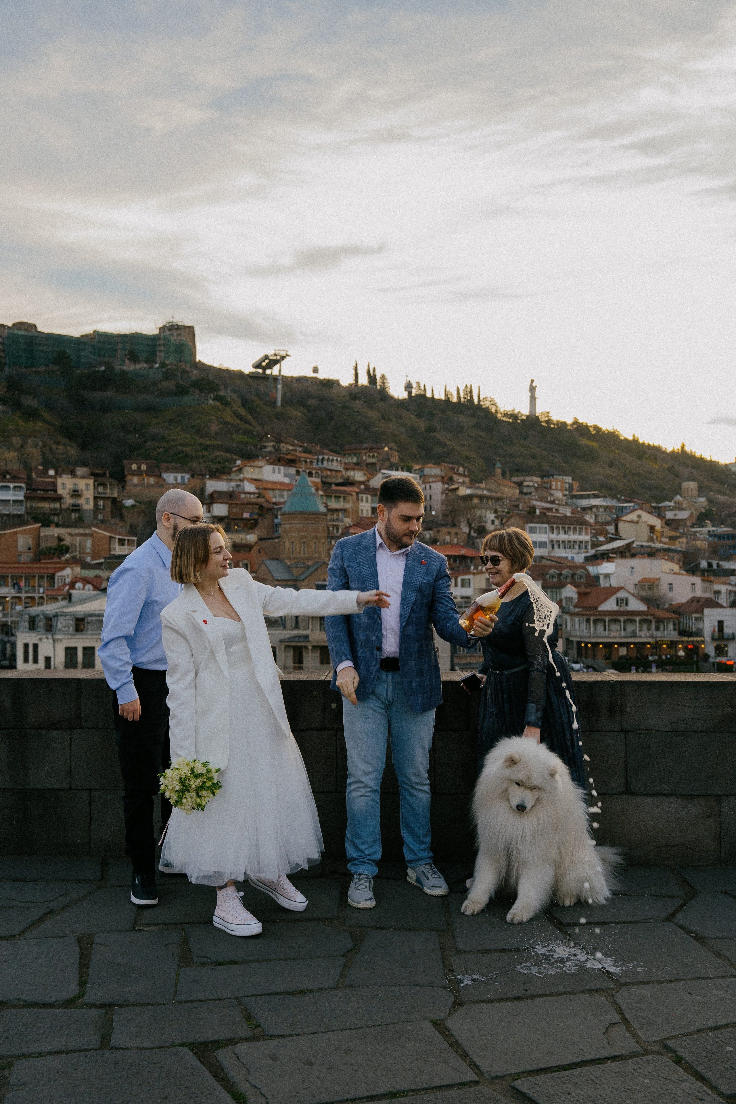 Пушистый свидетель