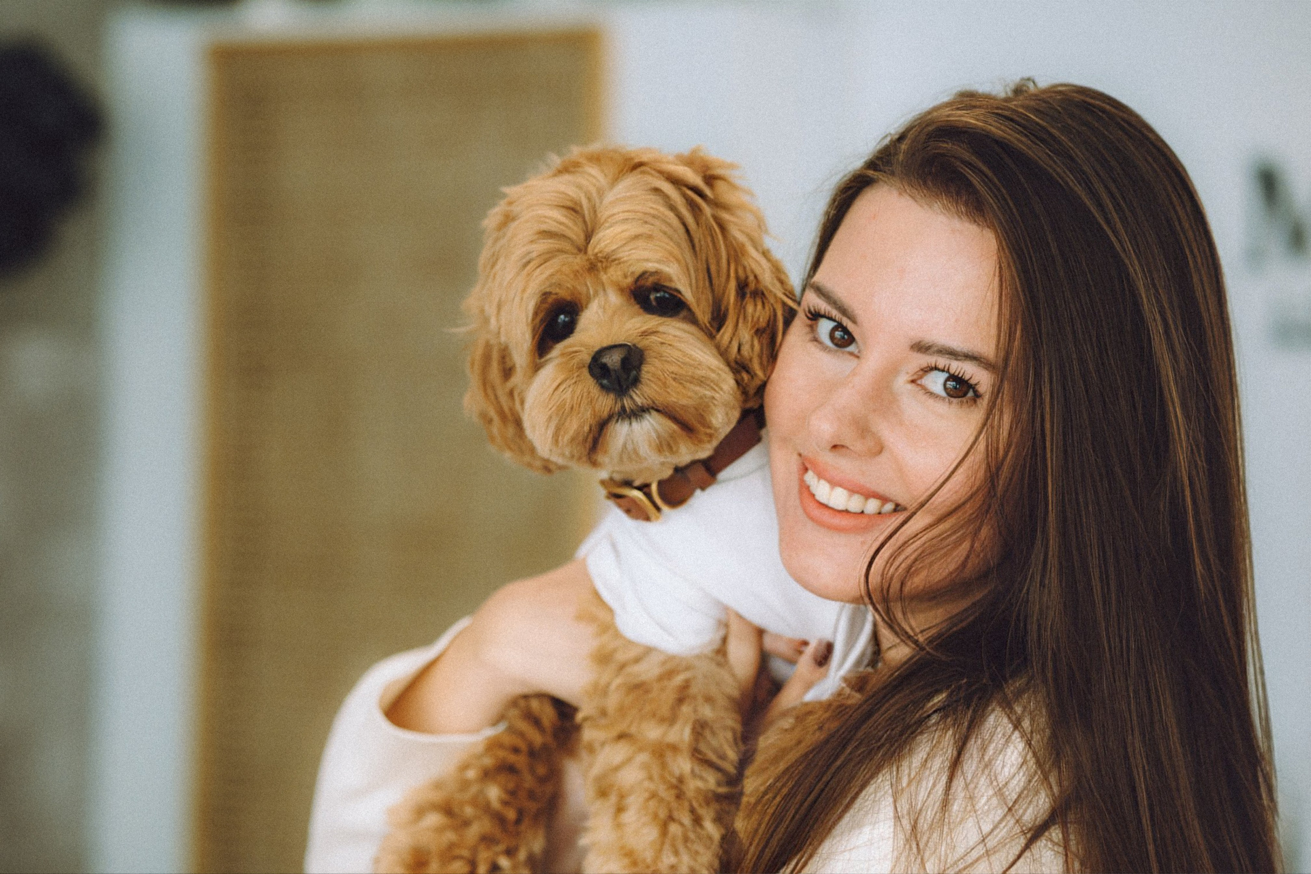 День Рождения пуделя Глаши