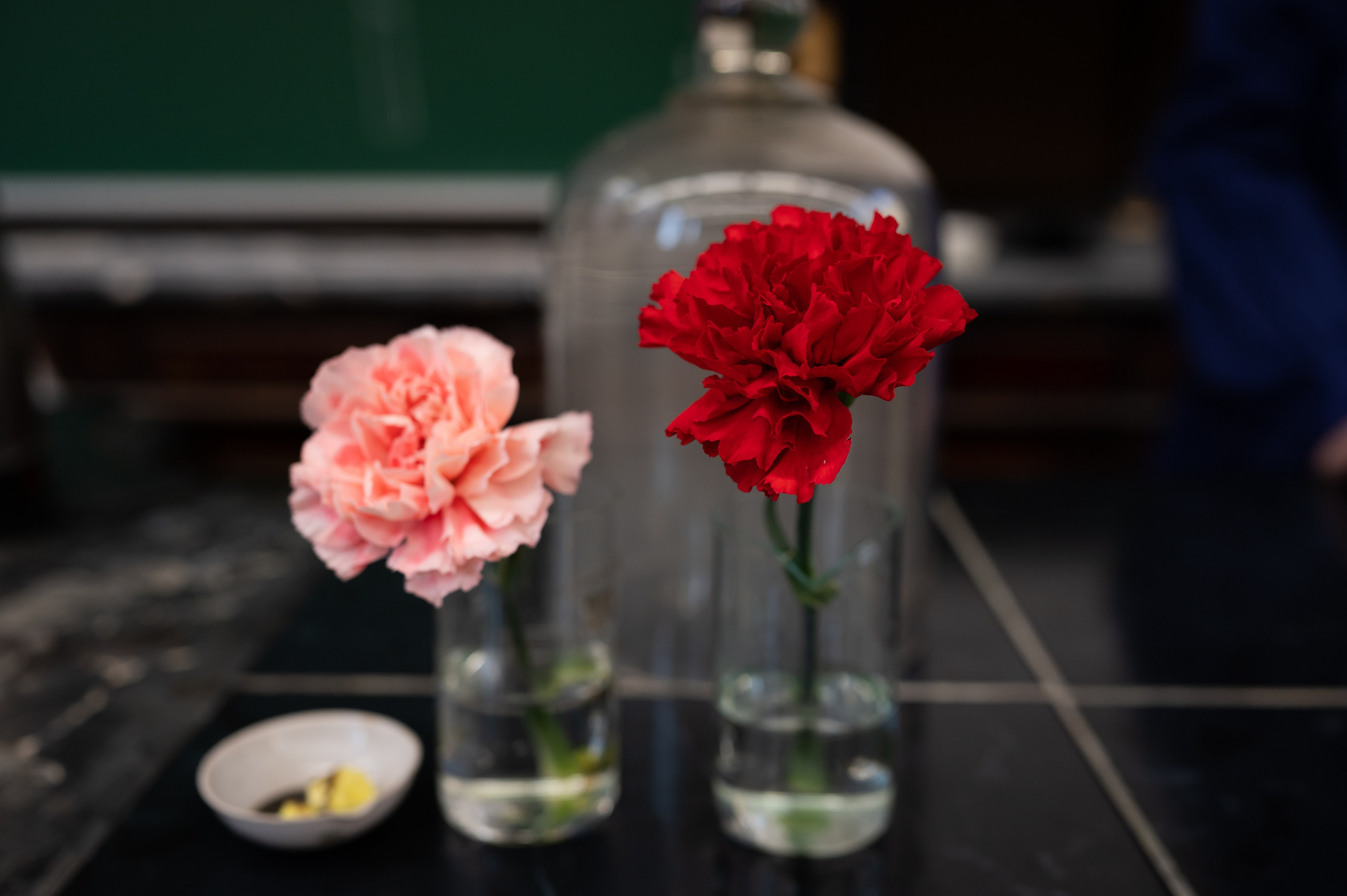 День открытых дверей. Фотограф в Санкт-Петербурге Anna Balashkova