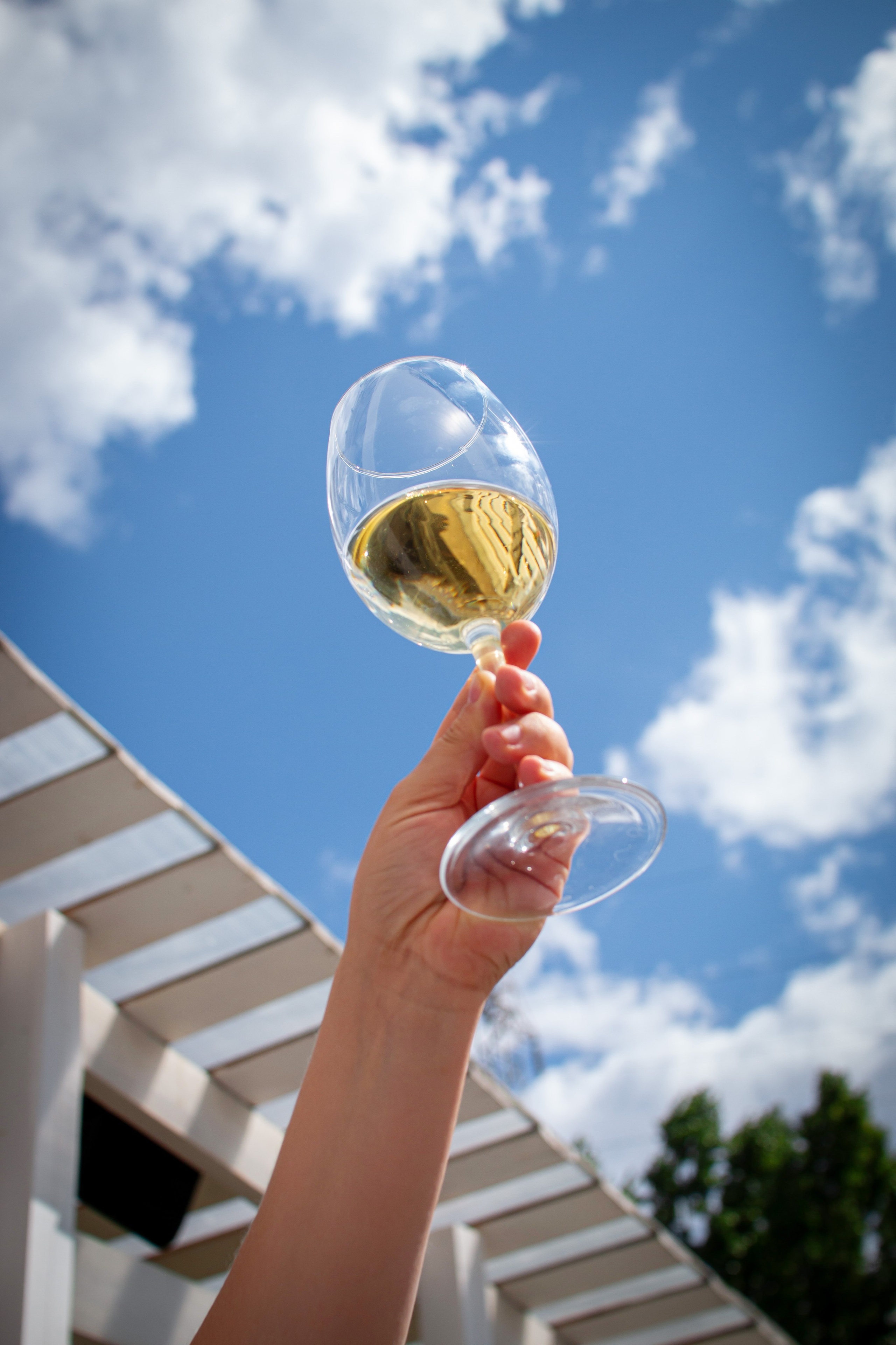 Фуд фотограф Саратов | Фото еды для меню, сайта и доставки