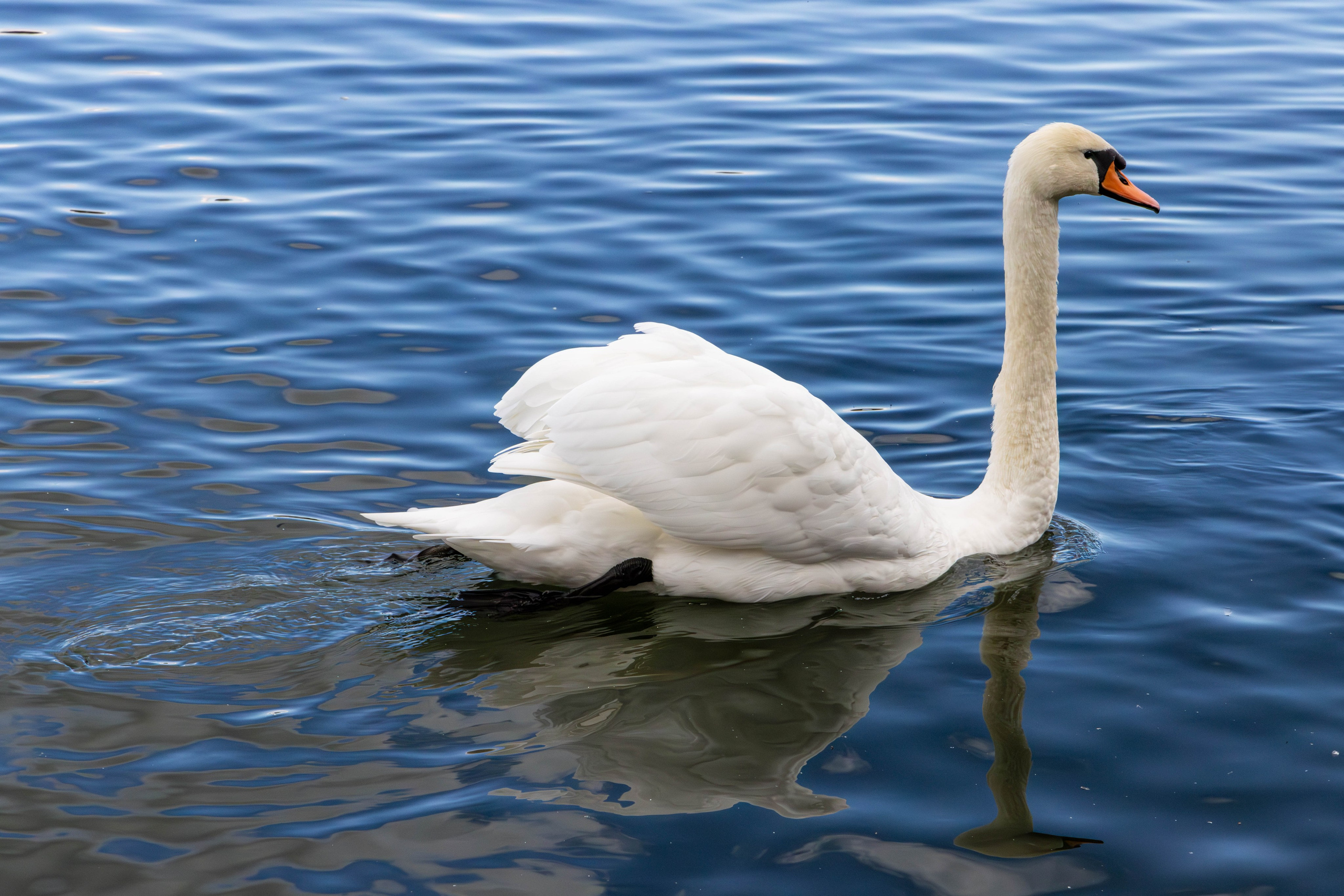 Архитектура и пейзажи. Главная