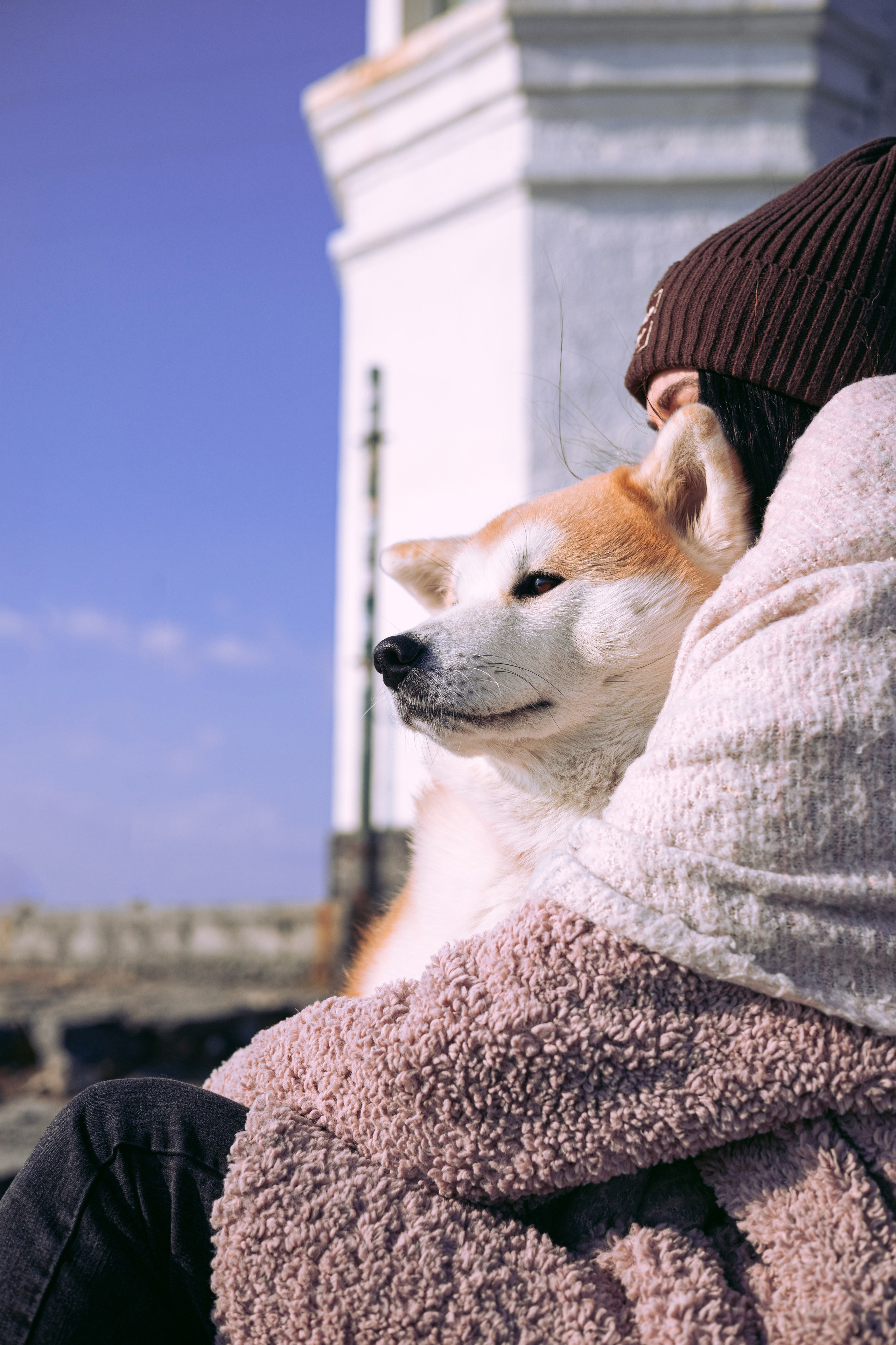 Мария и Бейла. Фотограф — анималист Владивосток, Алина