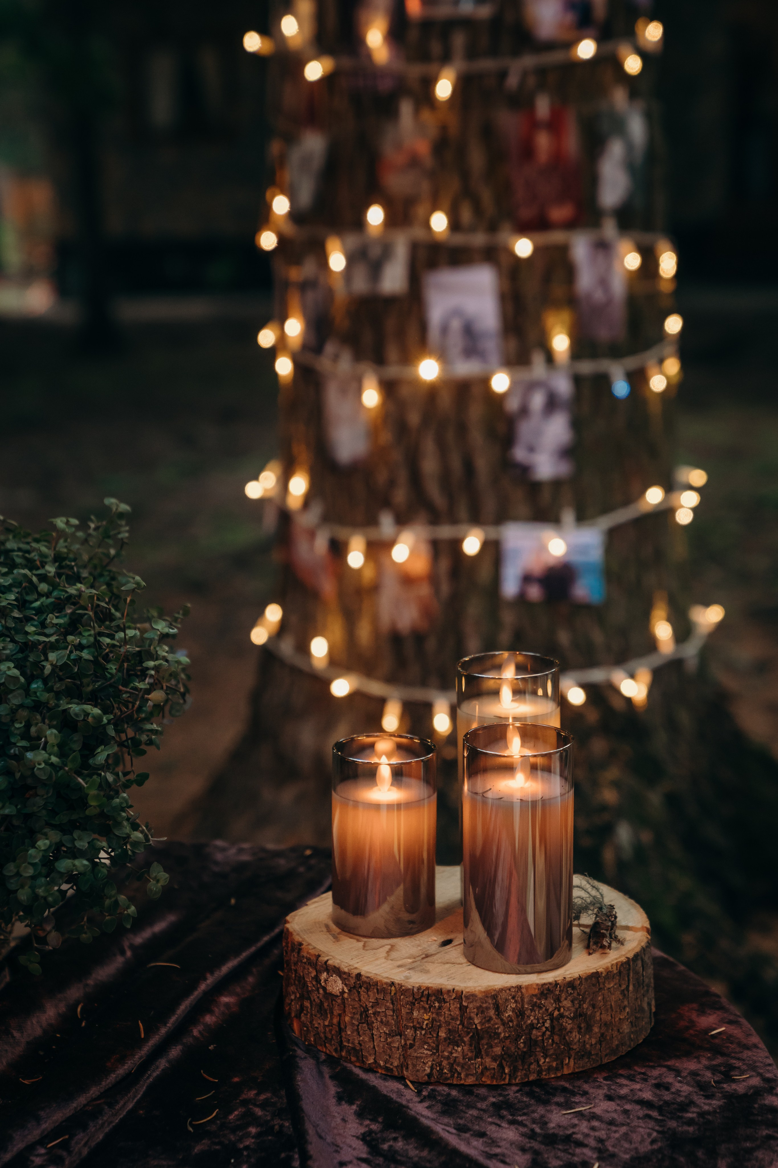 21 августа. Контентный и свадебный фотограф в Краснодаре и Сочи Елена Плотникова