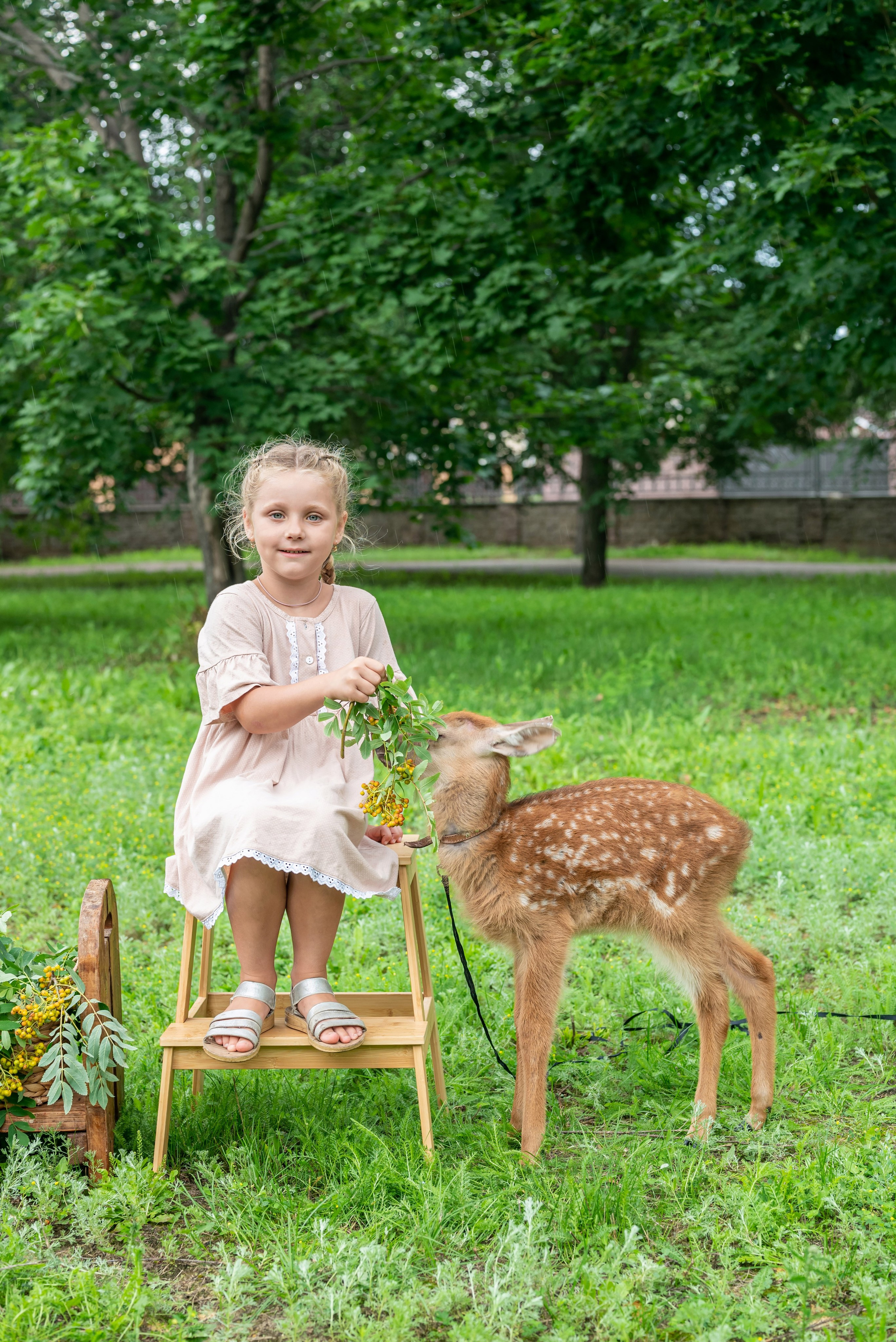 Фотопроект *Оленёнок Бэмби*. Фотограф в городе Салават