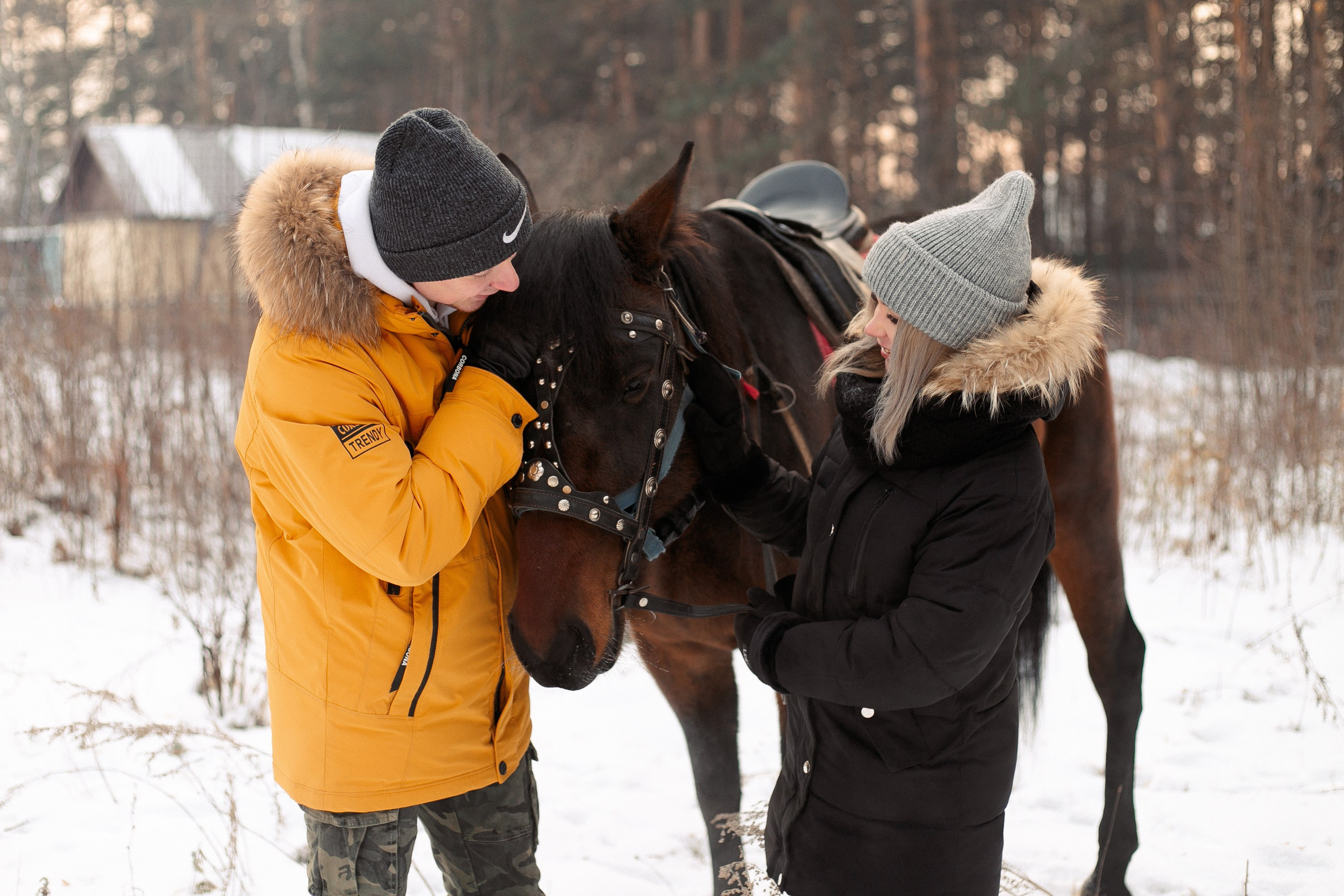 Конные прогулки в клубе «Анкор» — Омск