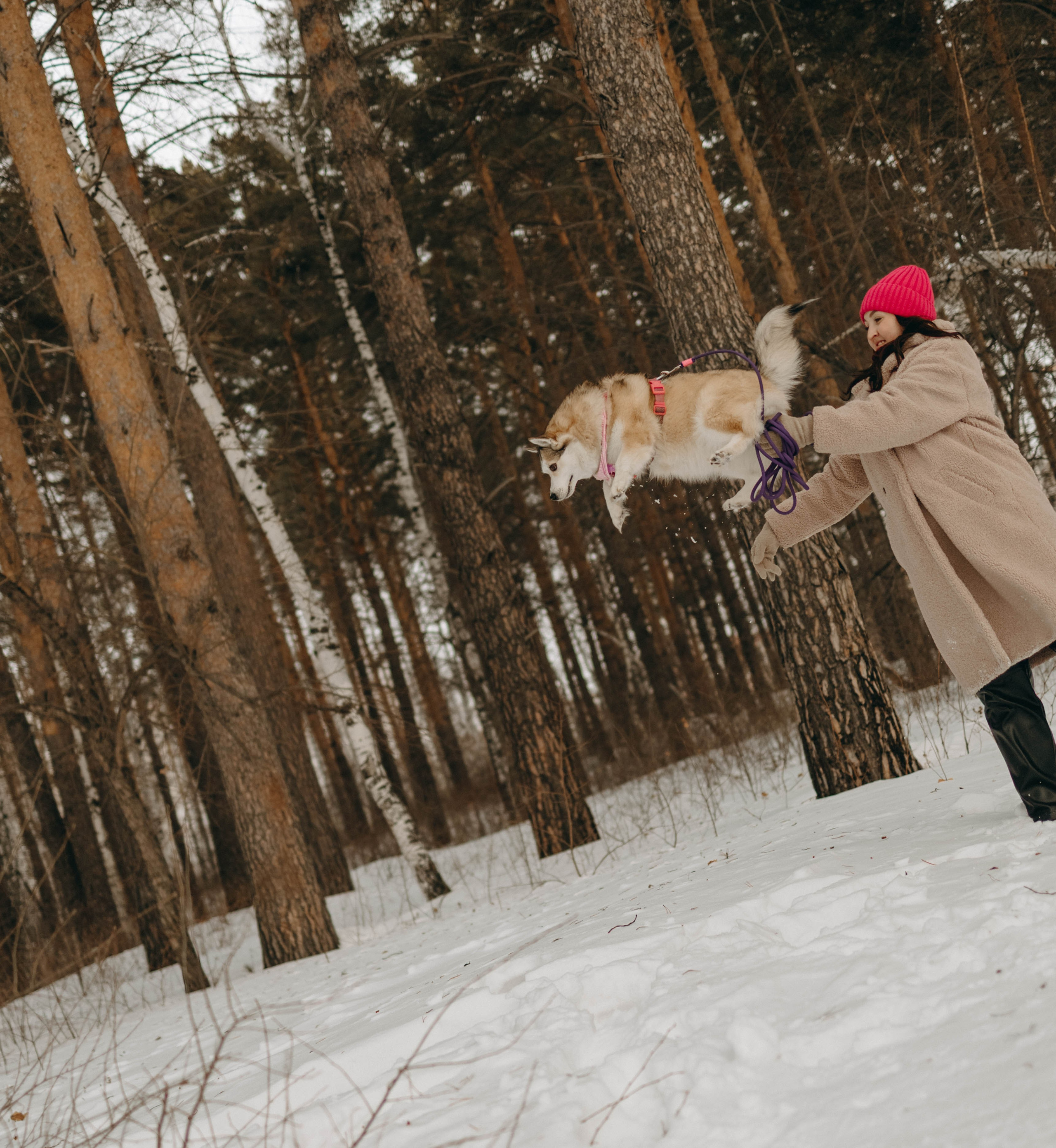 Варвара и Шелби. Фотограф-анималист в Екатеринбурге | Кристина