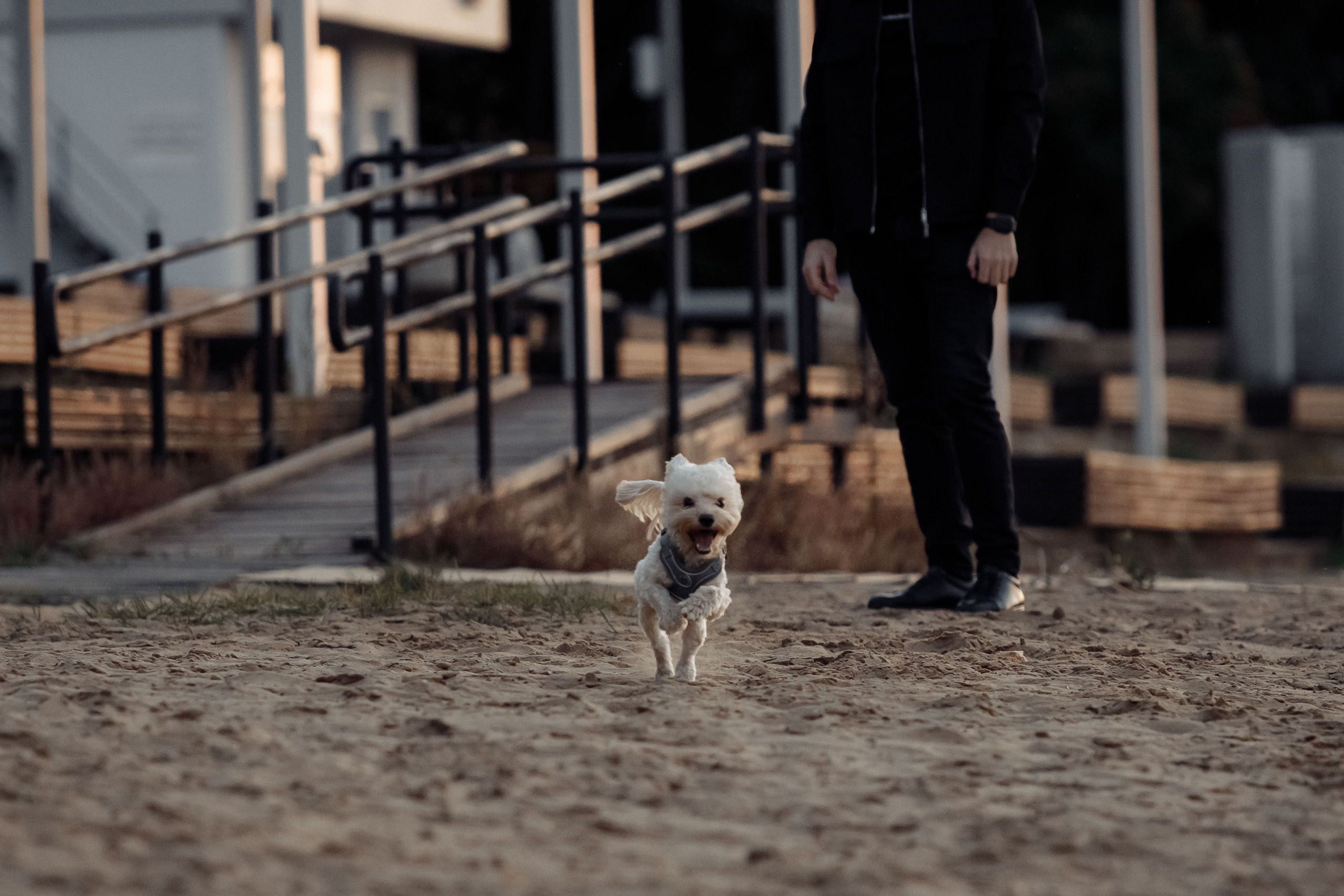 Irina and Andrey. Свадебный фотограф Казань Чебоксары Москва