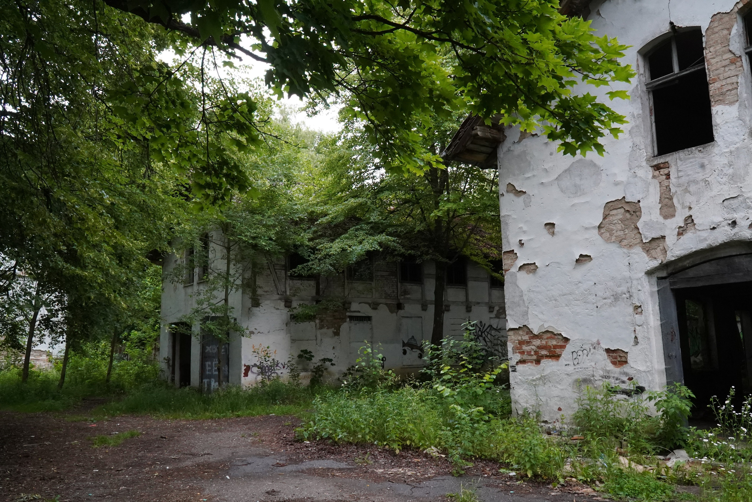 КАЛИНИНГРАДСКАЯ ОБЛАСТЬ. Фотограф Наталья Погодина в г. Обнинске