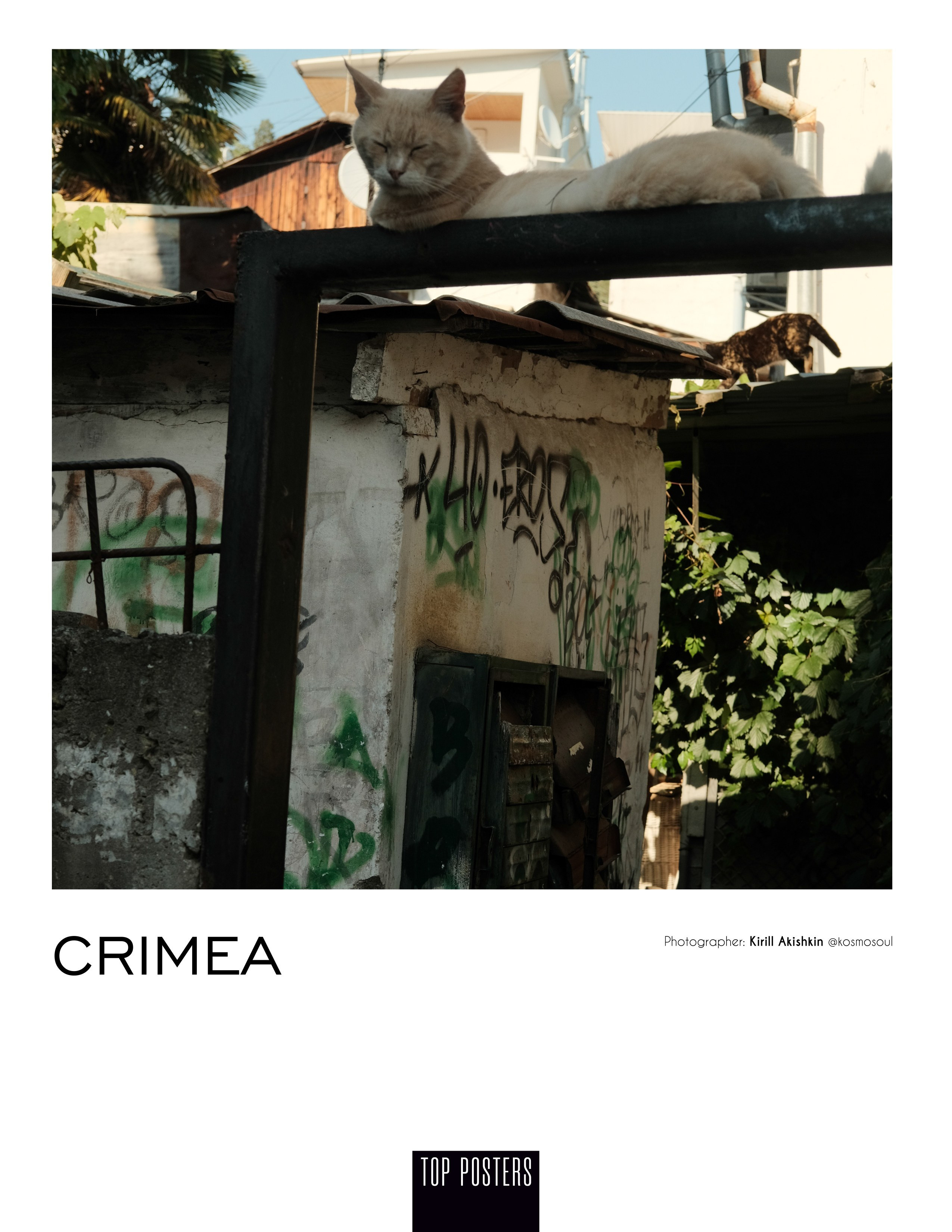 ПОРТФОЛИО ФОТО (1). Фотопродакшн, видеопродакшн, снять рекламу. Москва