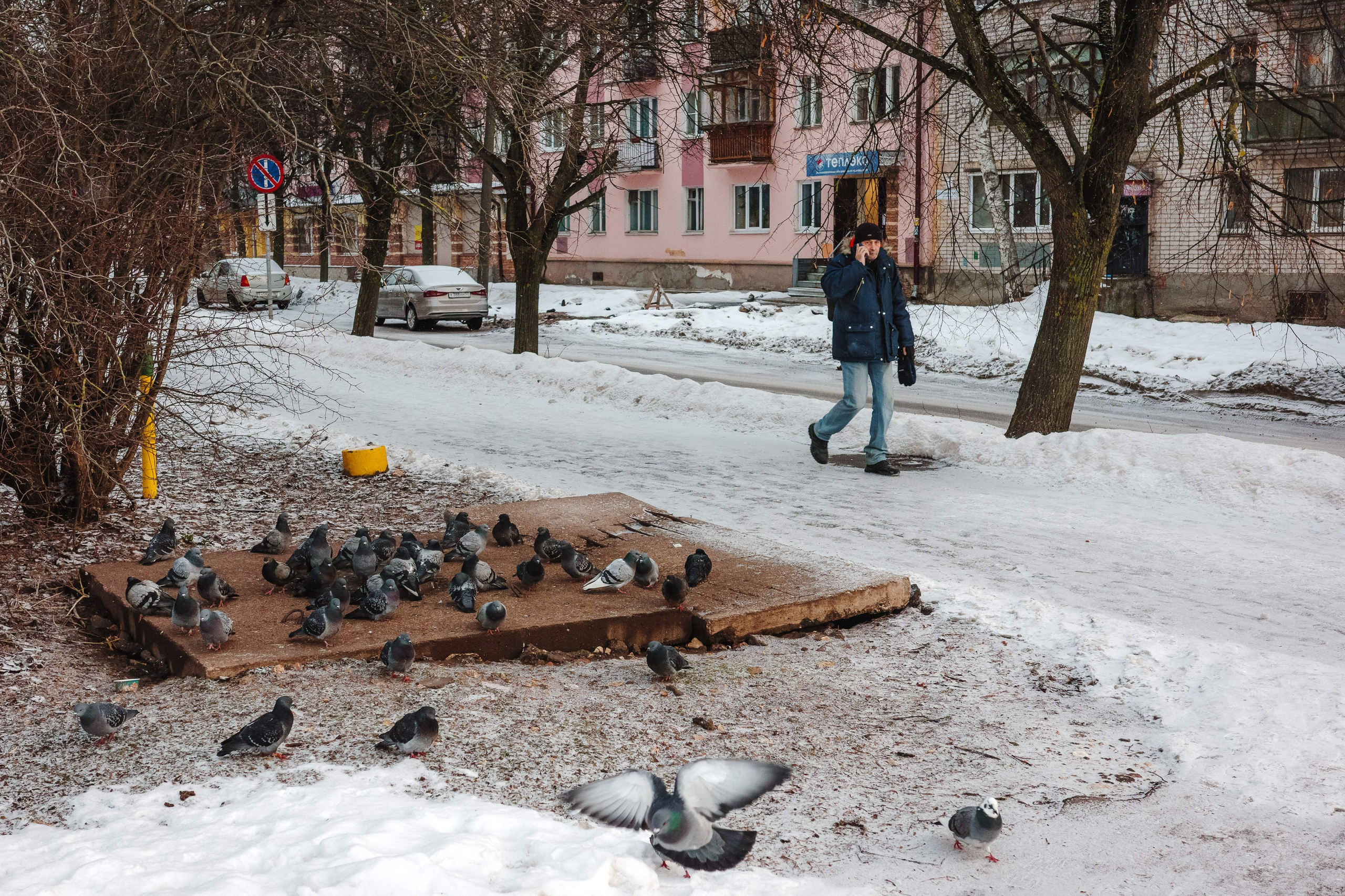 2024.01. Фотограф Алексей Алексеев