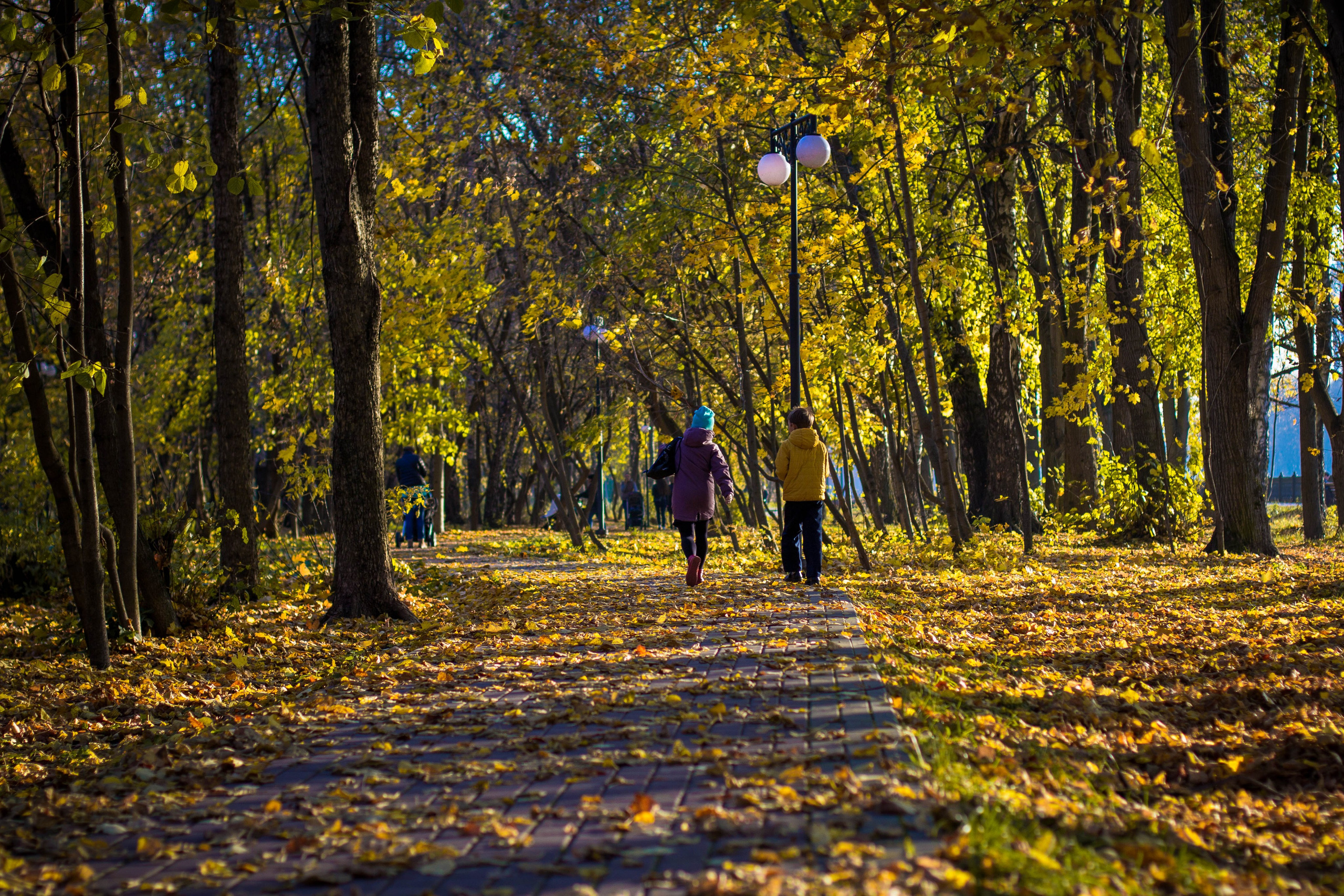 Прогулка осень Ховрино. Фотограф Москва Дылыкова Долгар