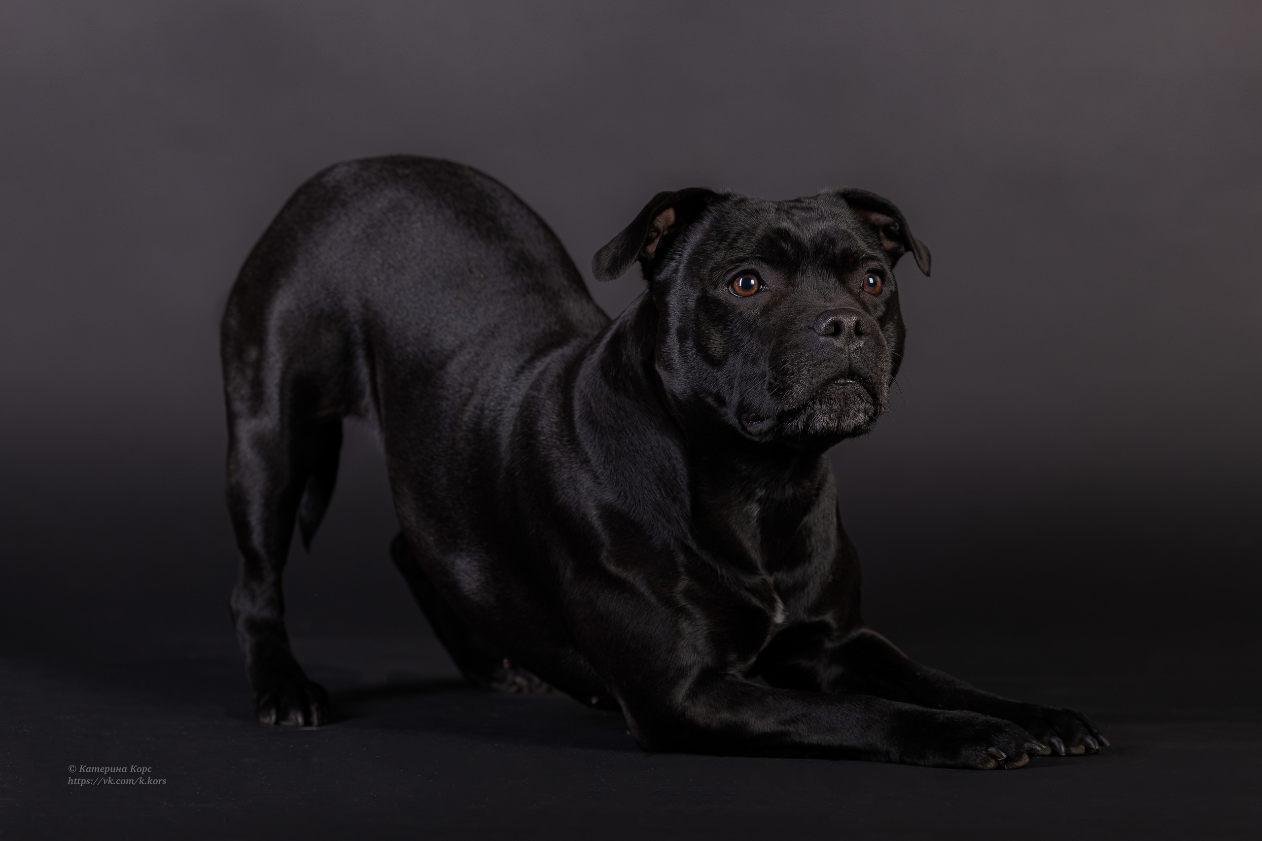 Студия. Главная