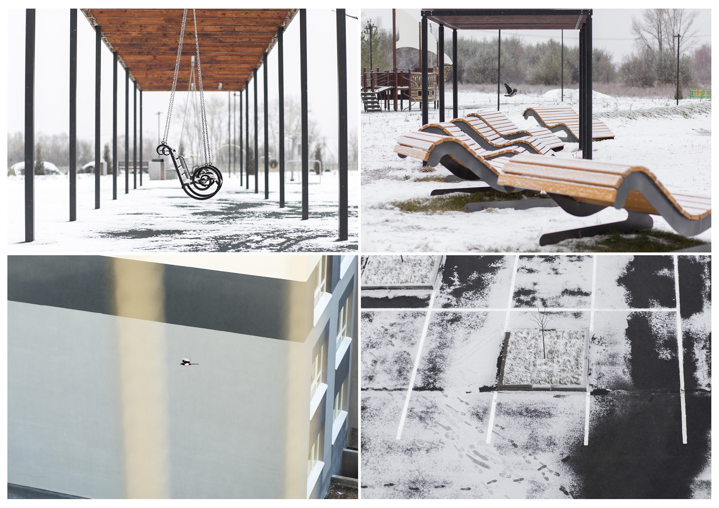 ДК Древо. Южный город. Свадебный и семейный фотограф в Самаре Толя Саркан