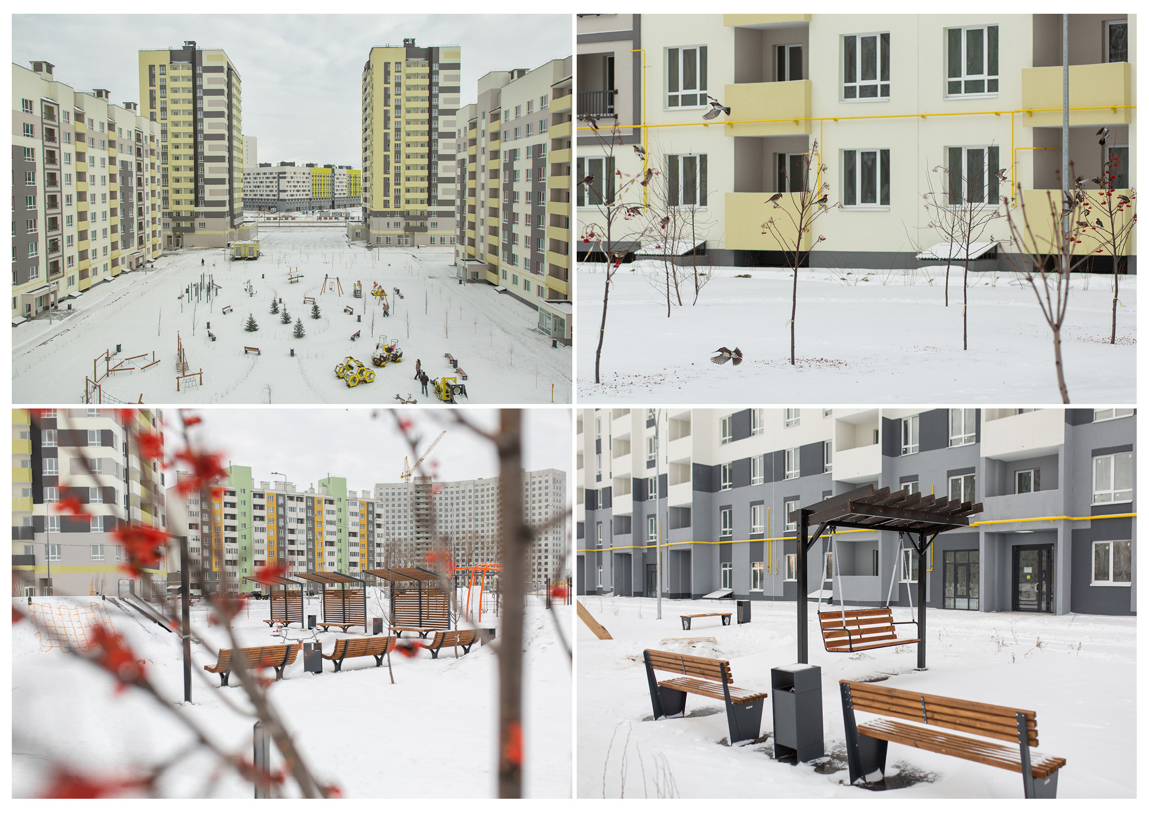 ДК Древо. Южный город. Свадебный и семейный фотограф в Самаре Толя Саркан