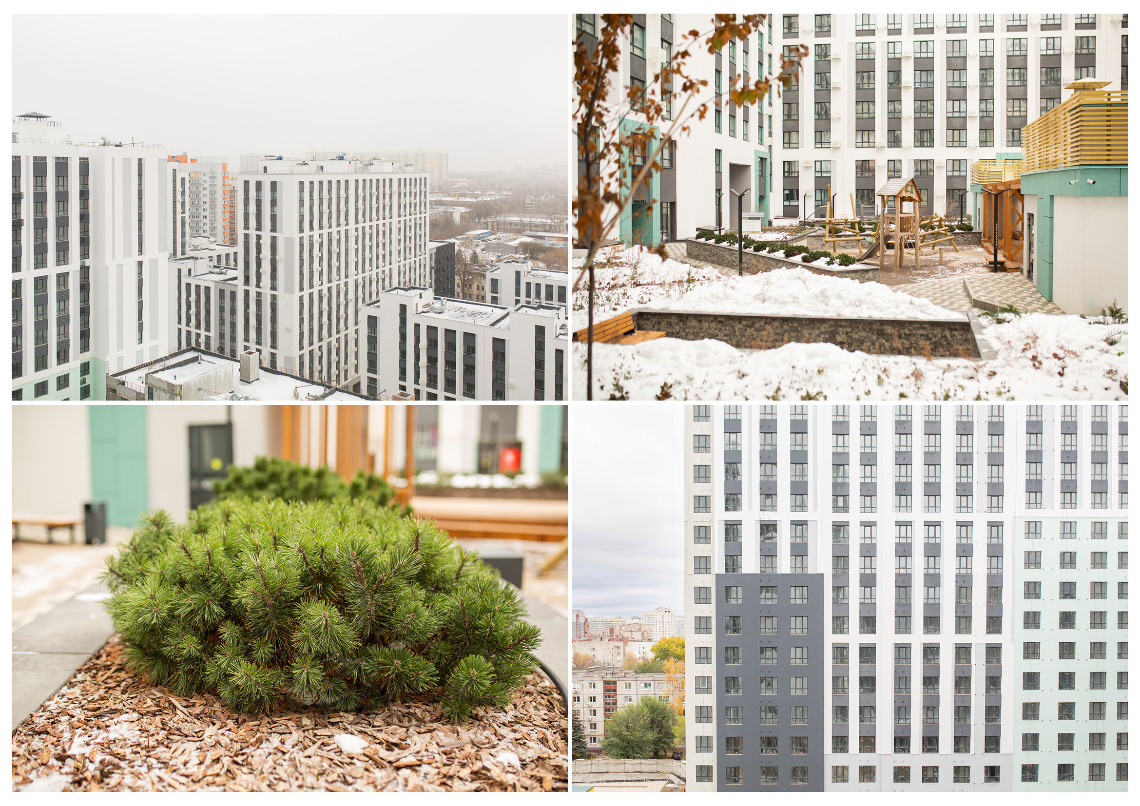 ДК Древо. Панова Парк. Свадебный и семейный фотограф в Самаре Толя Саркан