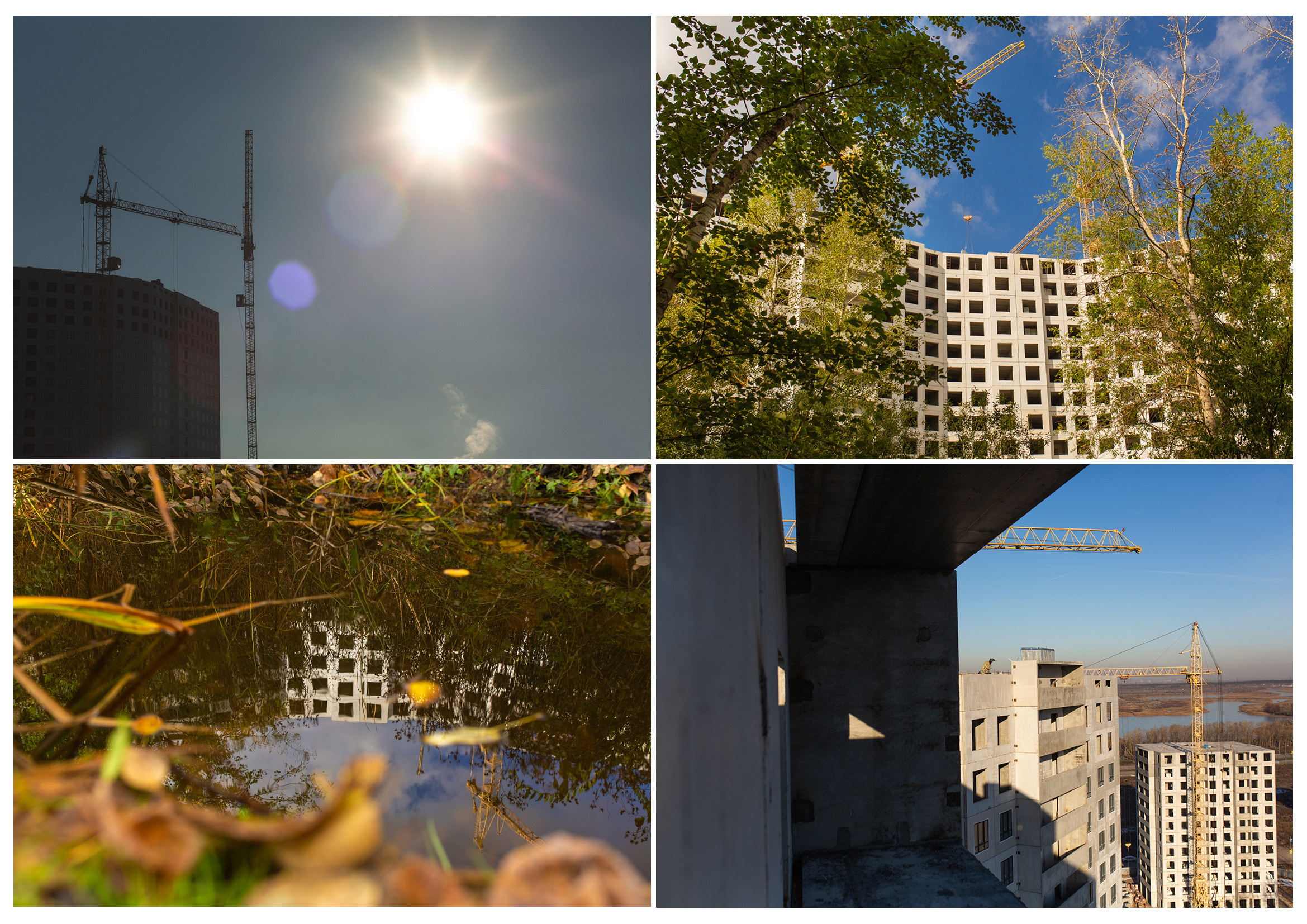 ДК Древо. Южный город. Свадебный и семейный фотограф в Самаре Толя Саркан