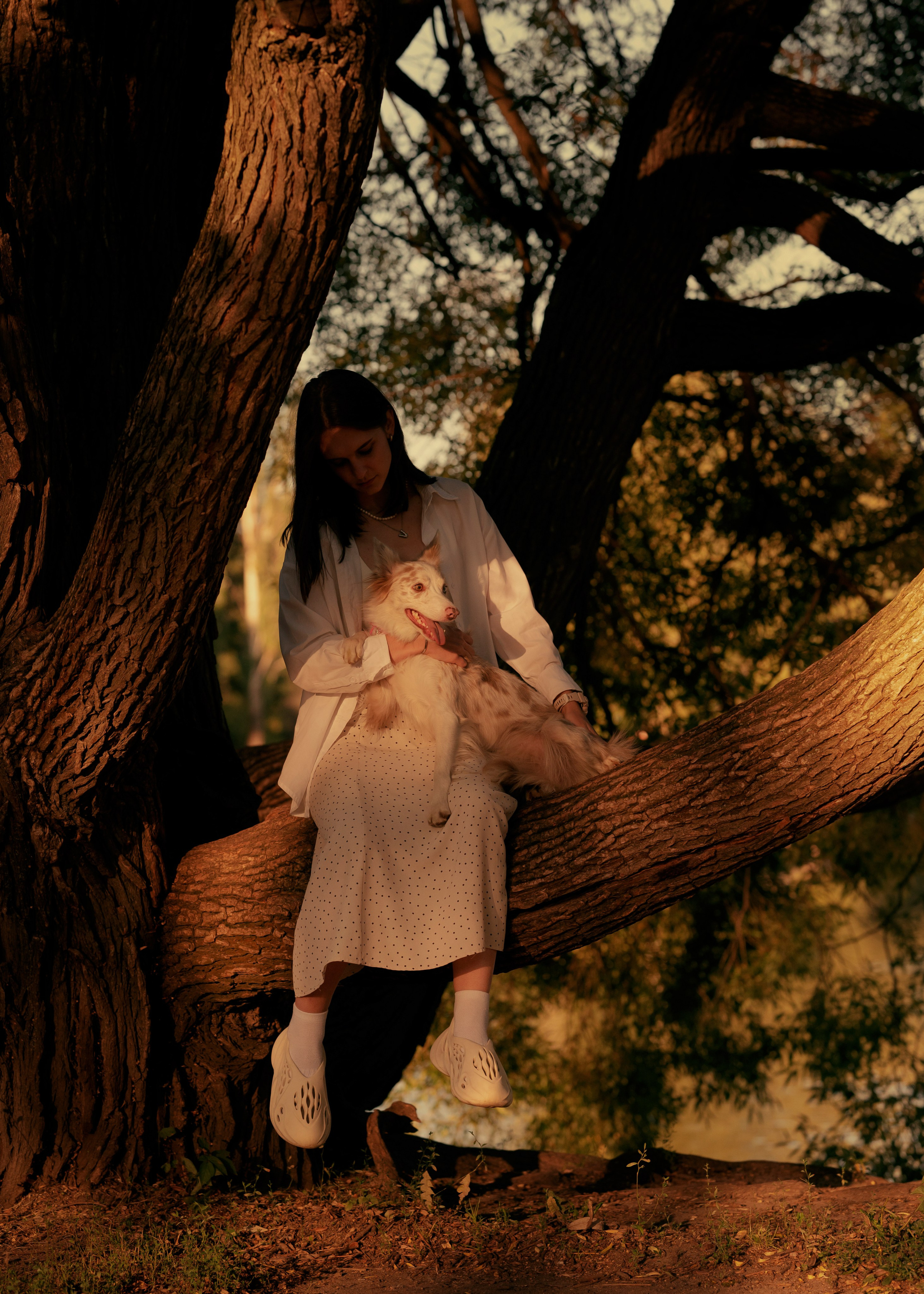 Вэй. Фотограф- анималист Александра Матвеева