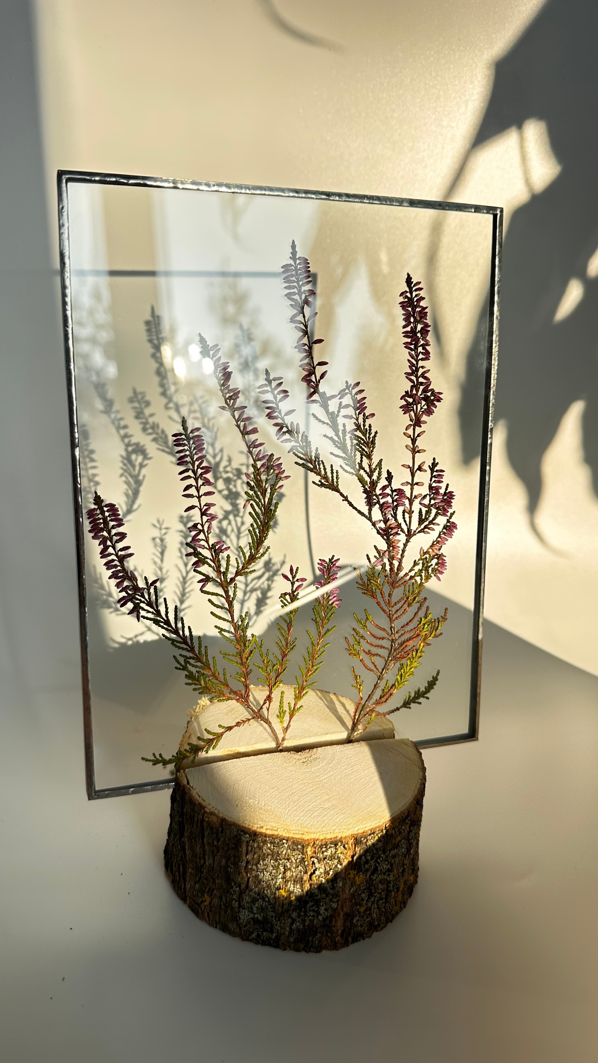 Гербарий в стекле с сухоцветами (витраж в технике тиффани). Гербарий в стекле, интерьерные панно, витражи с сухоцветами в технике тиффани