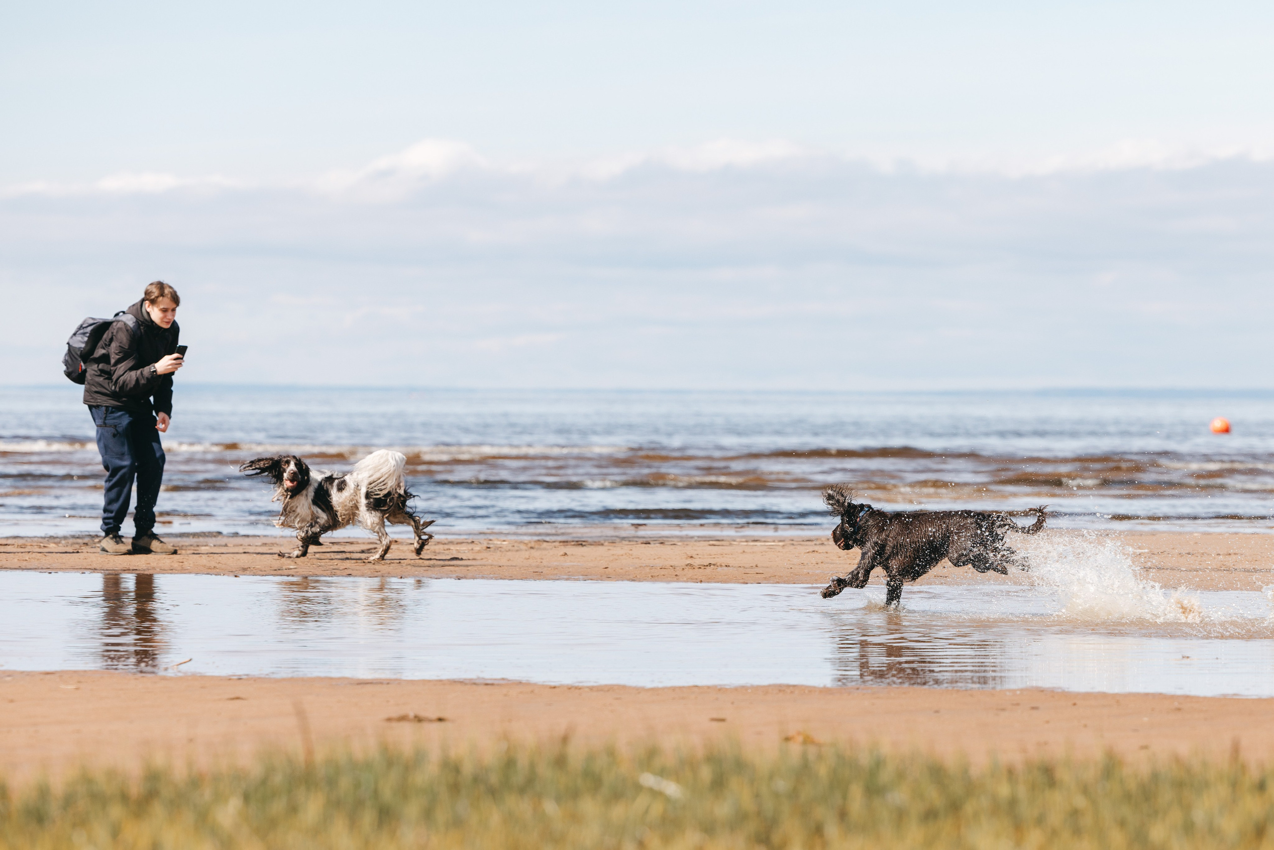 Спанимания. Фотограф анималист Осипчикова Мария