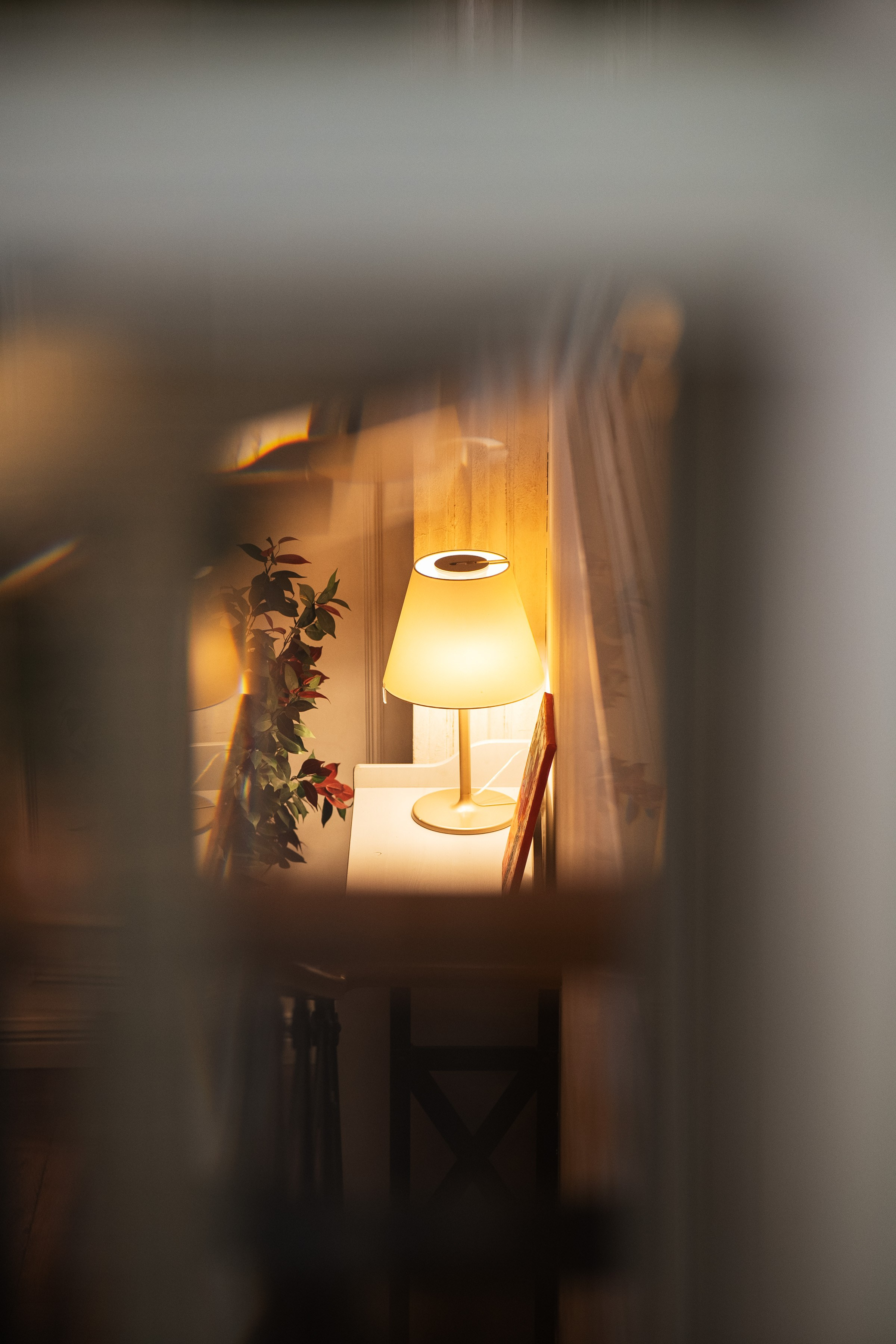 День рождения ресторана «Хочу Пури». Фотограф на любое событие в Кемерово