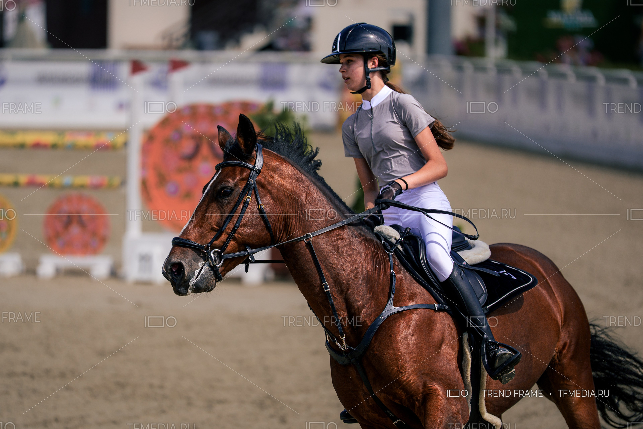 Евразийские Игры 2025 в Maxima Park: лошади фото красивые