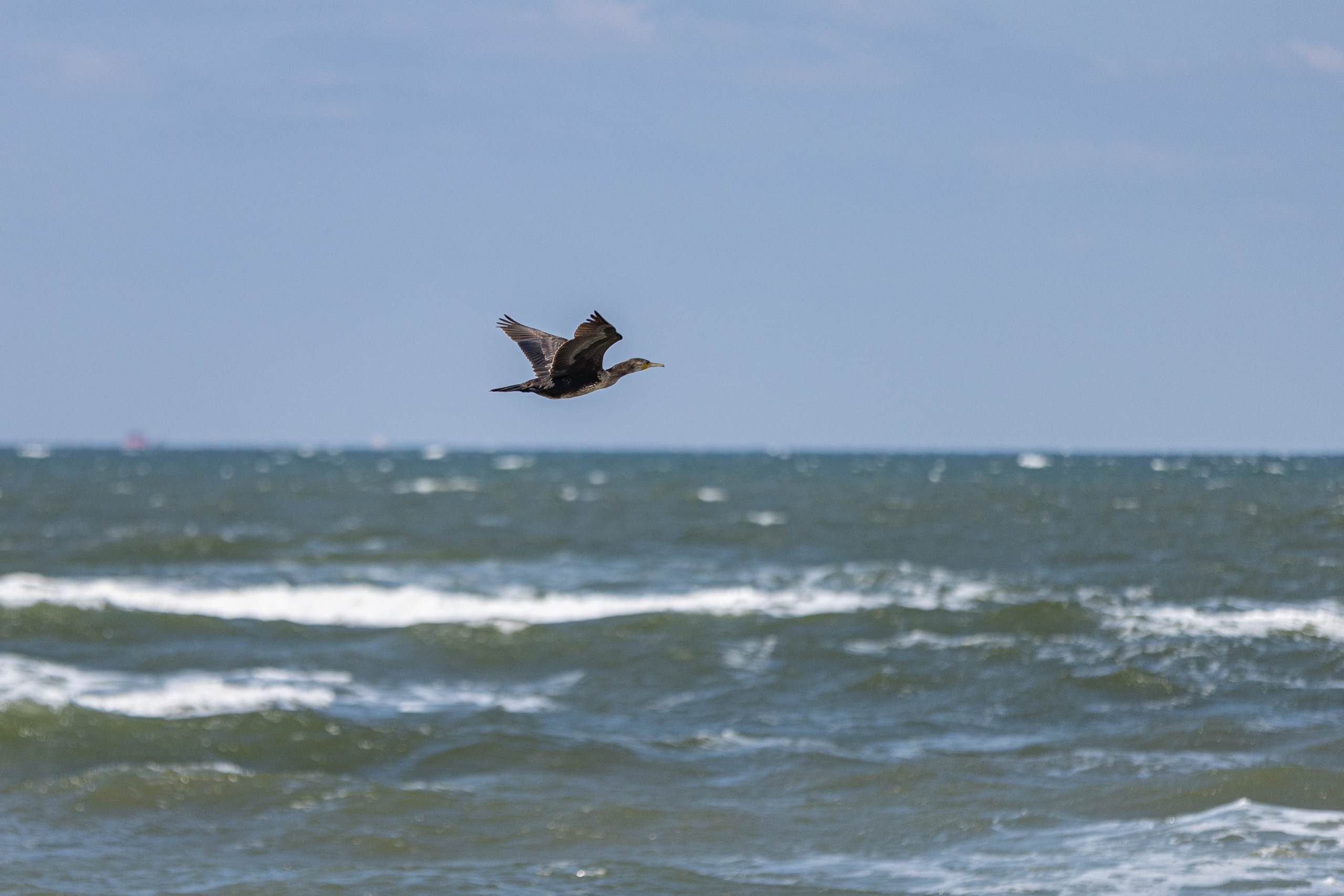 Азовское море. Фотограф Владимир Охрименко