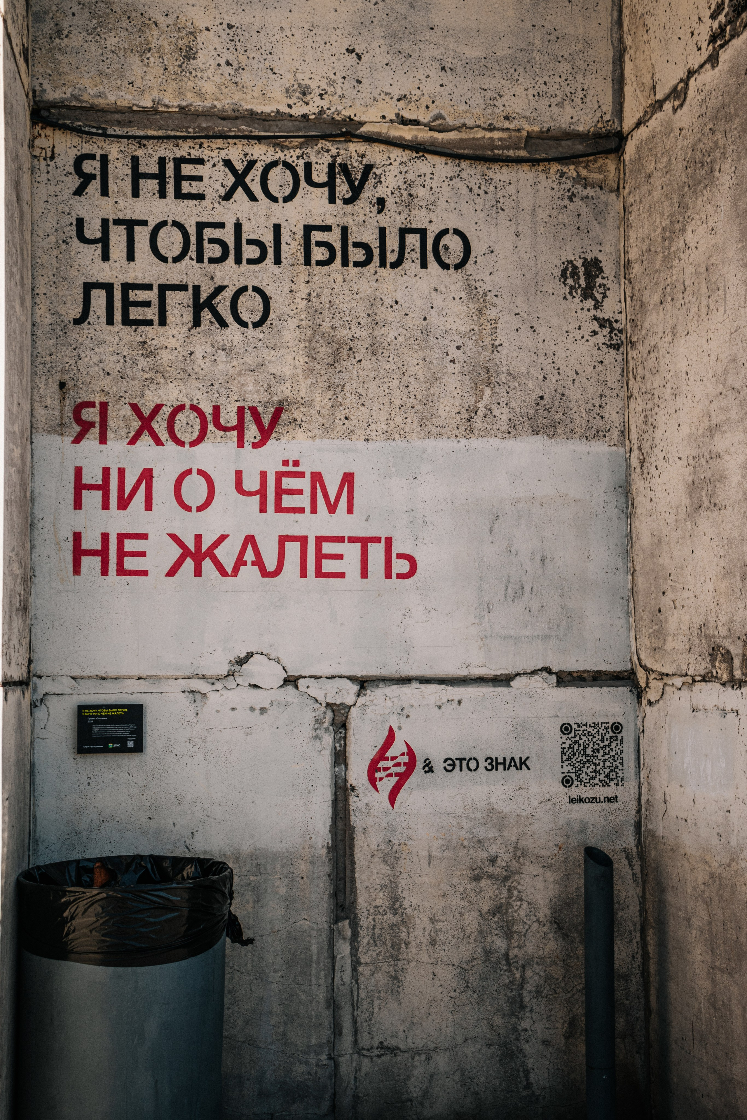 СТРИТ по ПИТЕРУ 2026. АЛЕКСА
