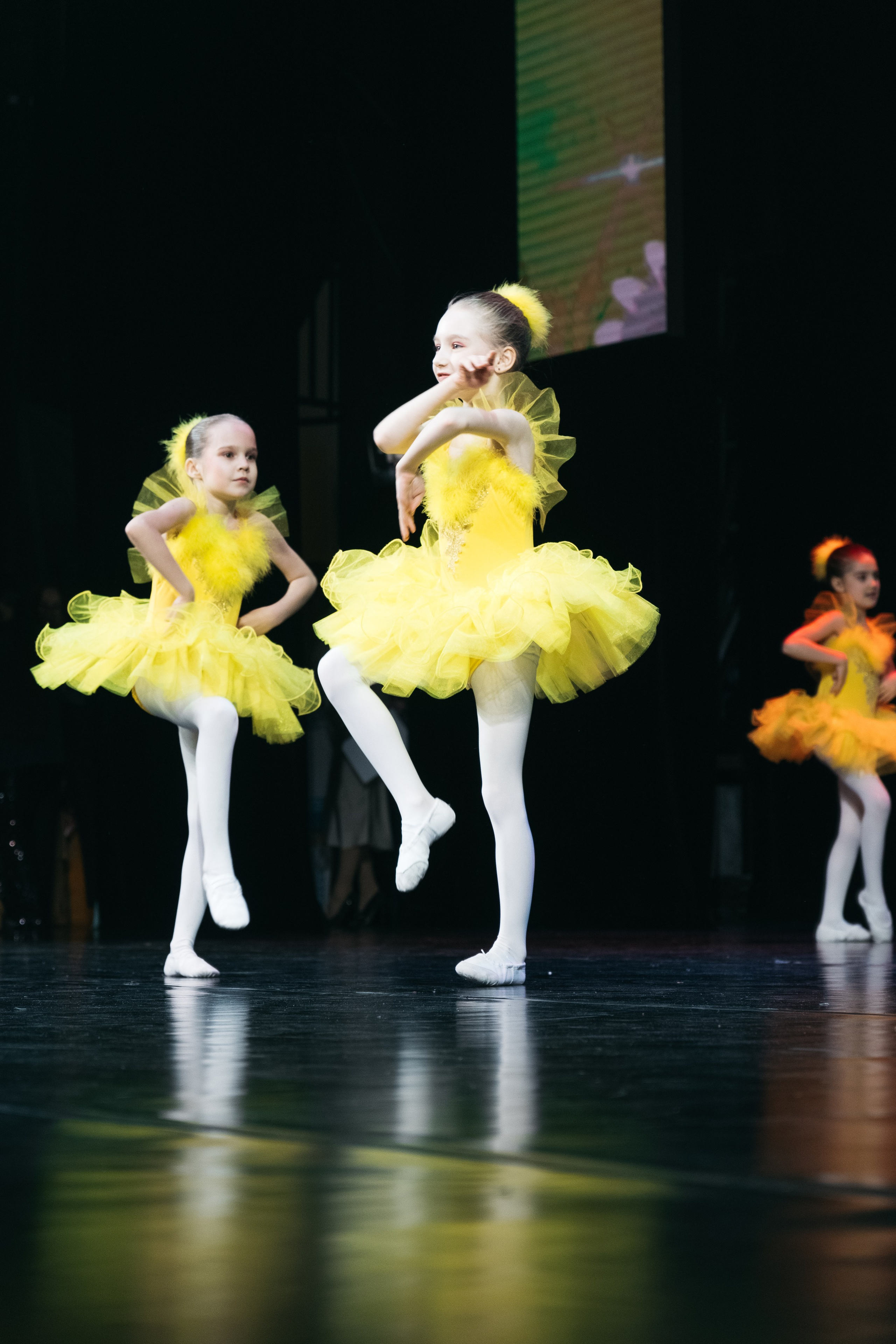 СурГУ 23.12.23. Репортажный и свадебный фотограф в Сургуте