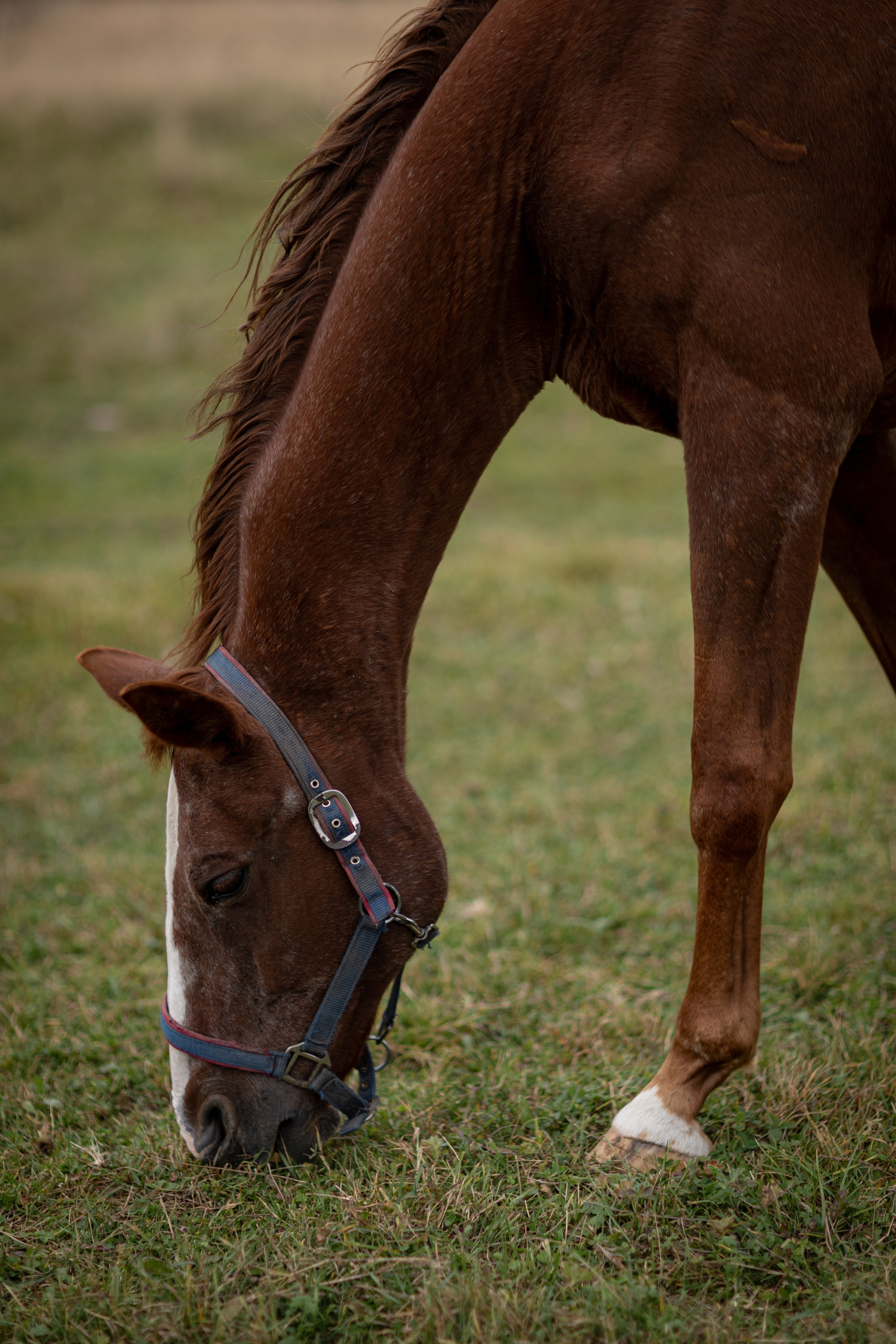 Три Саши. Ваш фотограф — Александра Андрущенко