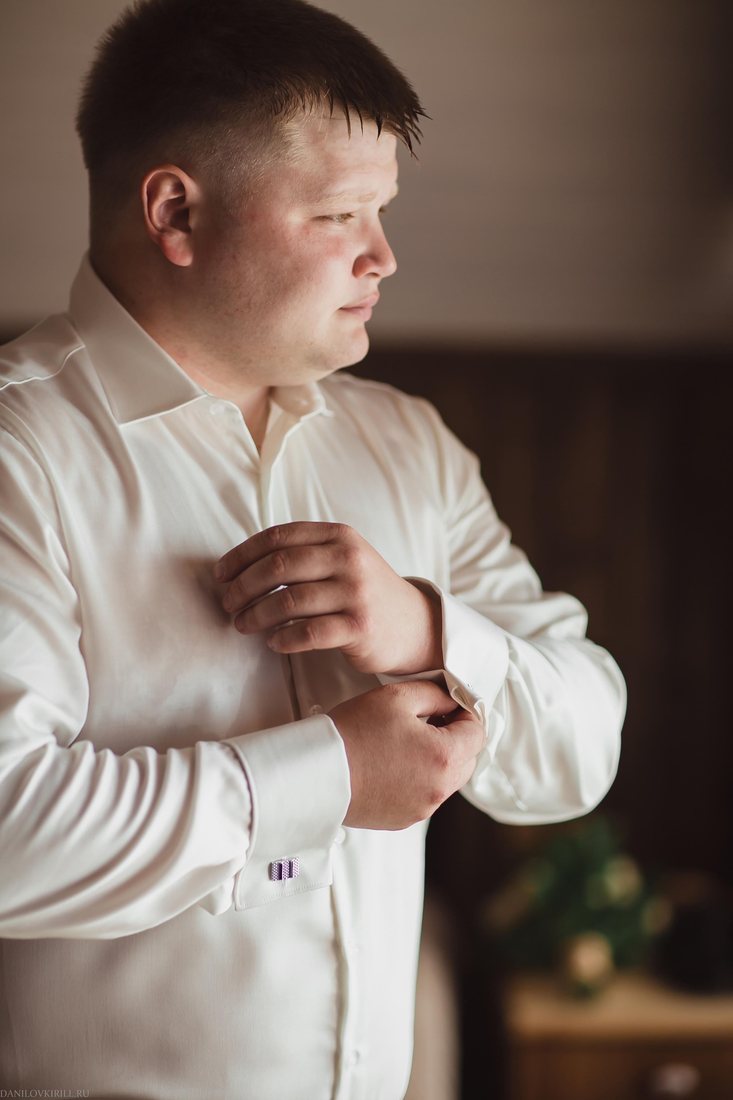 Dmitriy & Svetlana. Wedding photographer in California