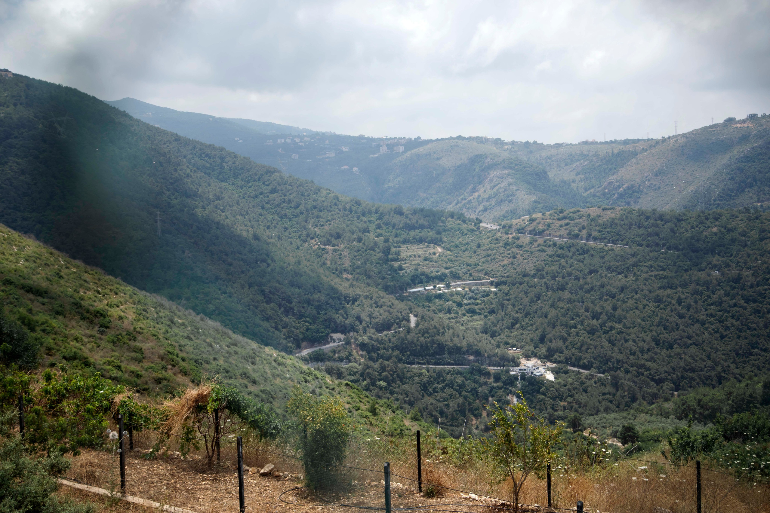 Lera. Семейный и детский фотограф в Санкт-Петербург. Natalia Fadel