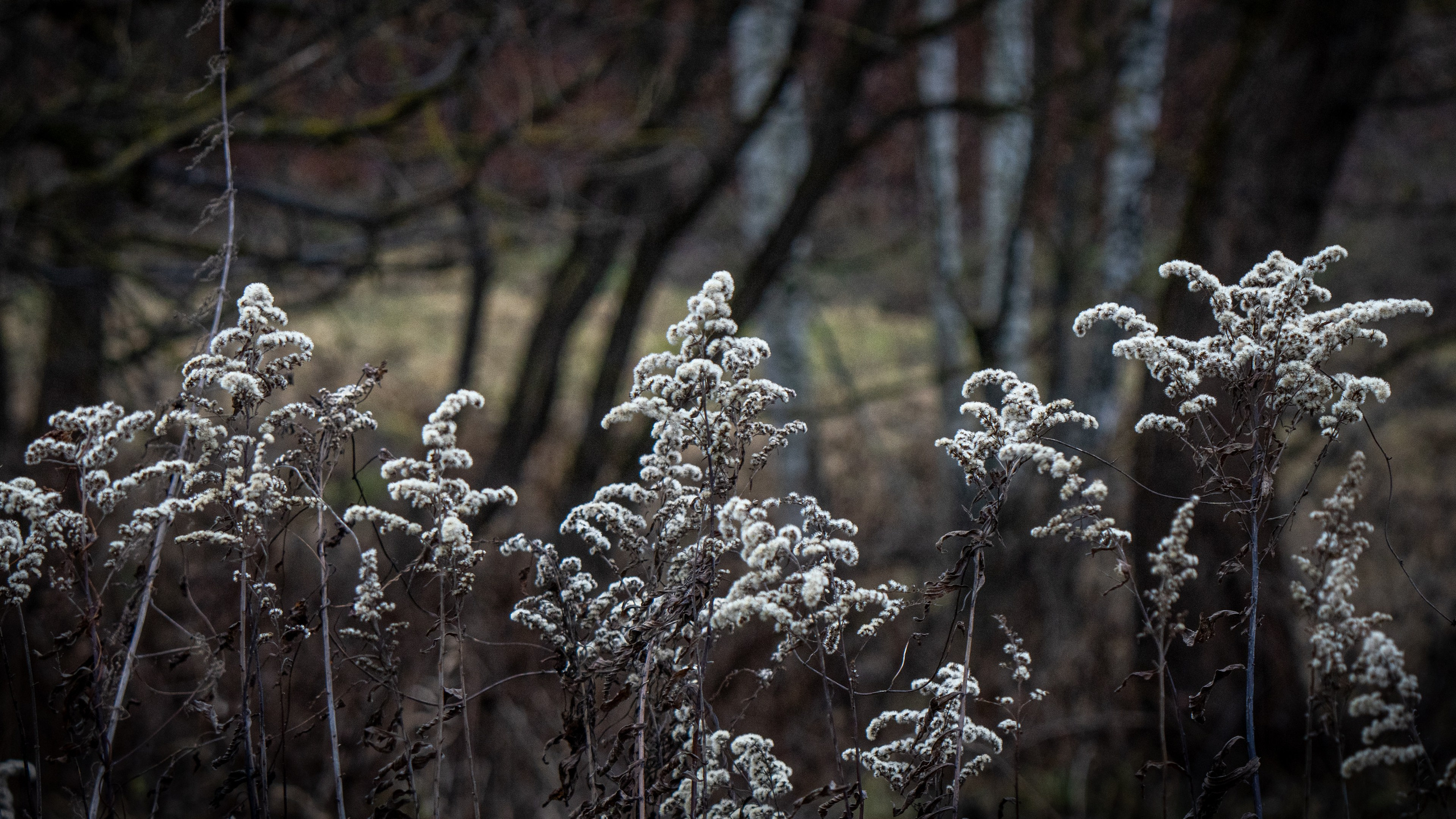 ПЕРЕДЕЛКИНО. ПОБУДЬ ЗДЕСЬ И ЦЕЛЕЕ БУДЕТ ЭТОТ МИР