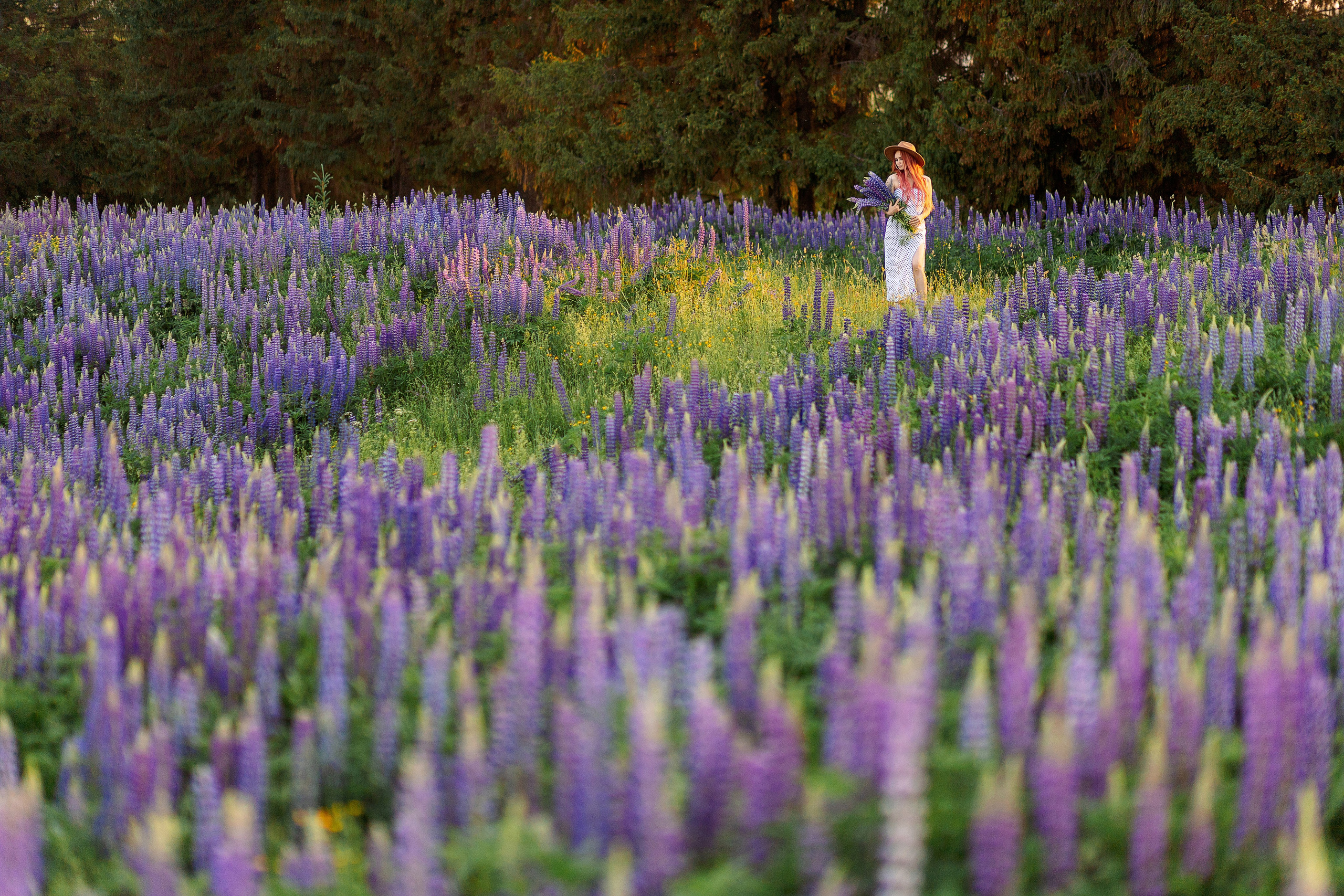 Люпиновая Фотосессия на закате. Профессиональный фотограф в Ижевске Леша Петров