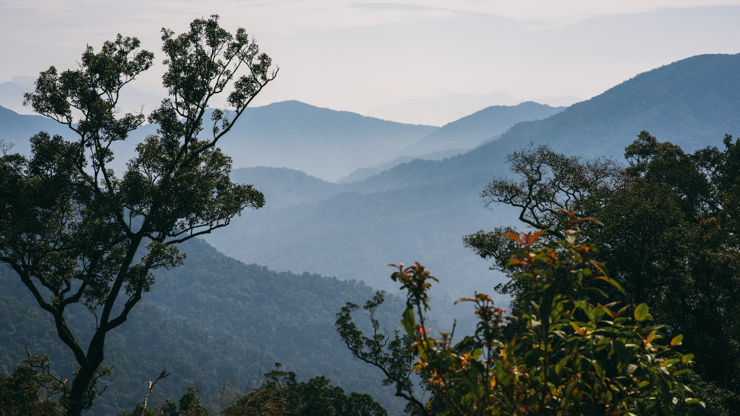 Other. Orunek photo (portrait photographer in Da Nang)