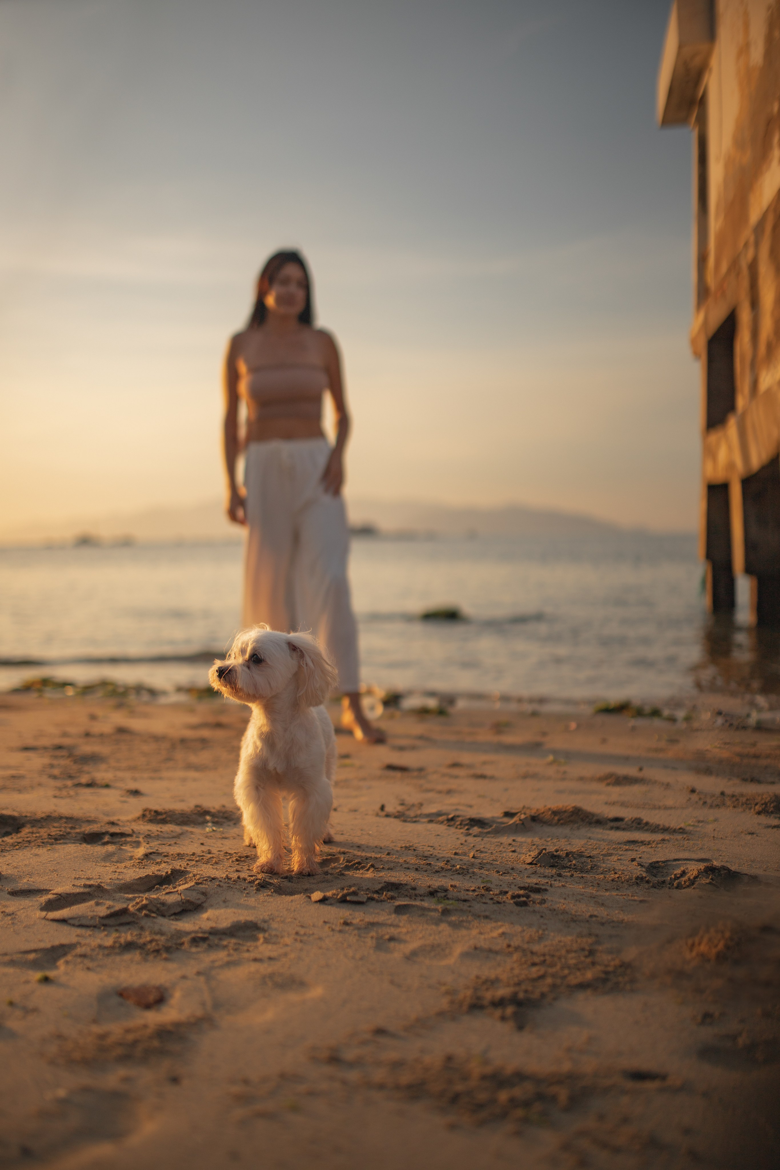 Анастасия и ее Пират.Нячанг. Главная