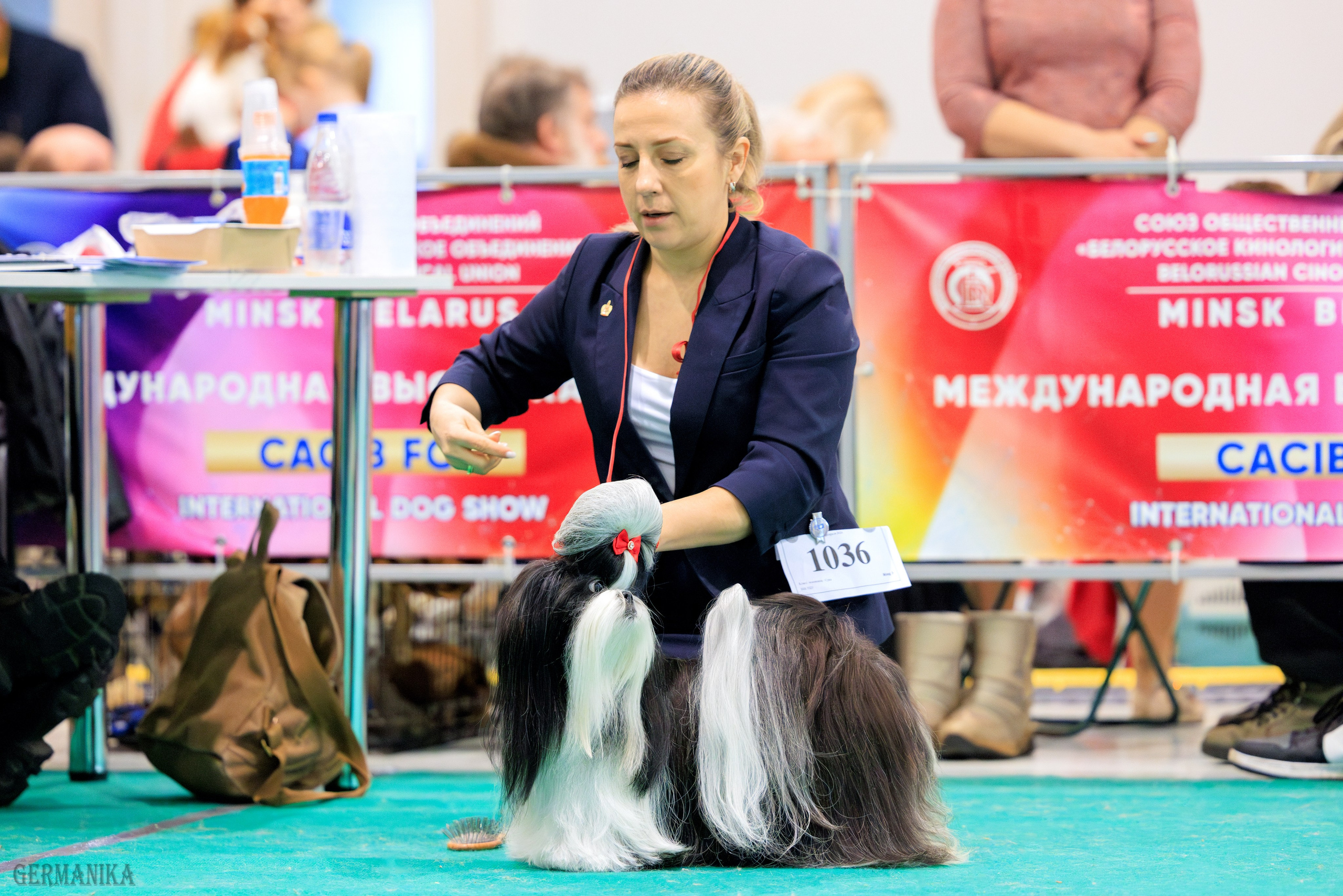 Минск 24-25.02.2024. Фотограф-анималист Юлия Германика