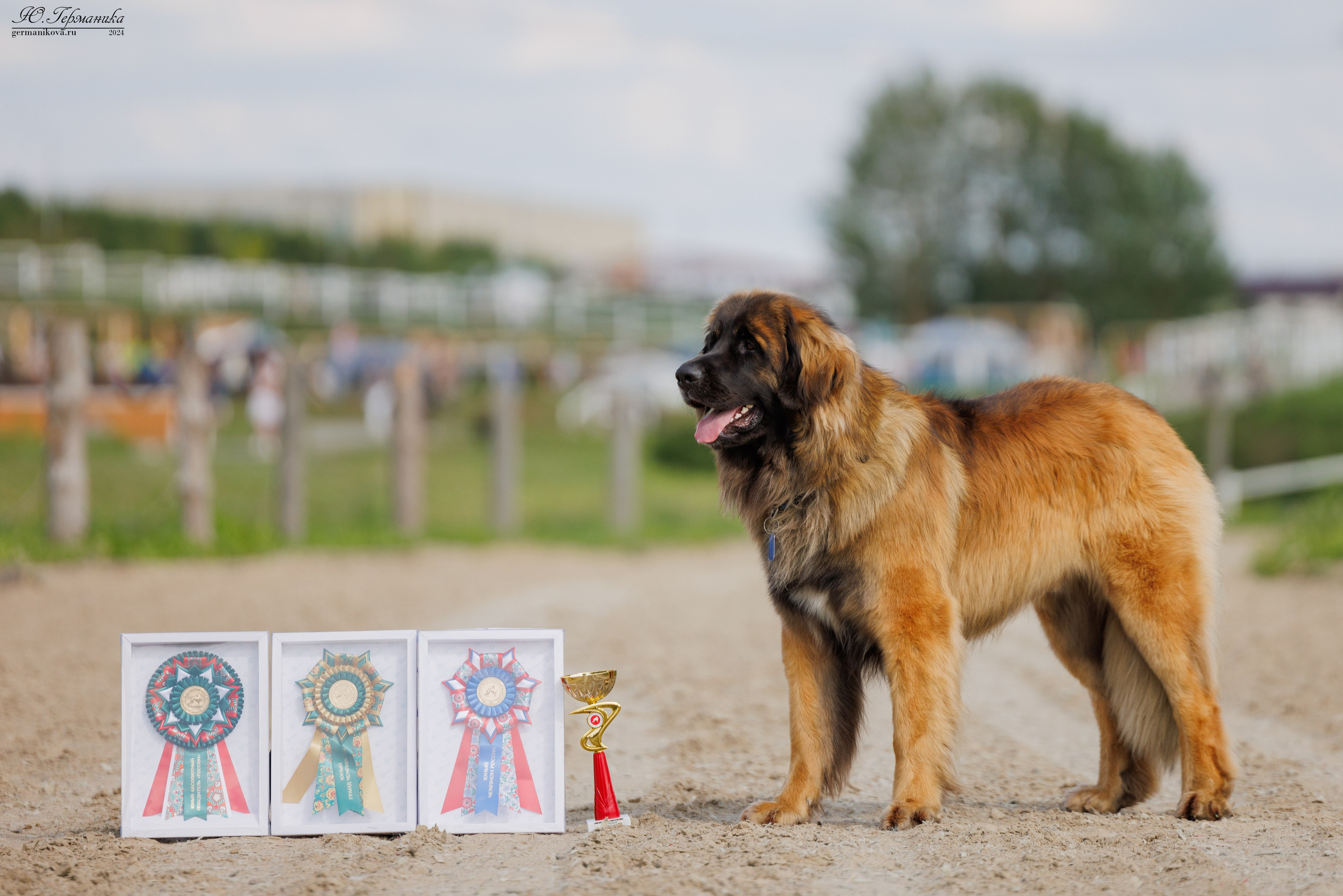 РОССИЯ 8-9.06.2024. Фотограф-анималист Юлия Германика