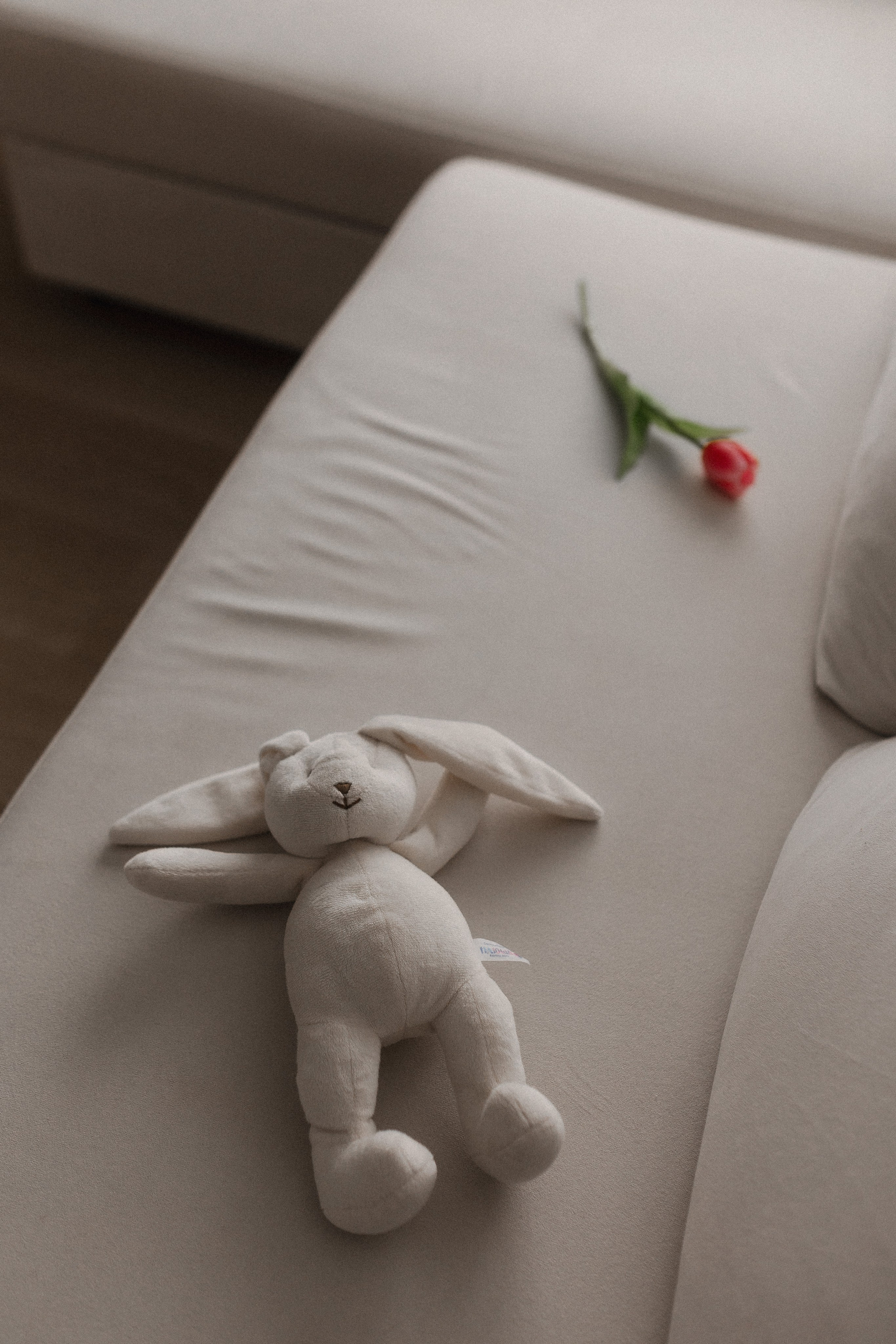 Миле 1 годик. Семейный фотограф в Нижнем Новгороде Доронина Юлия