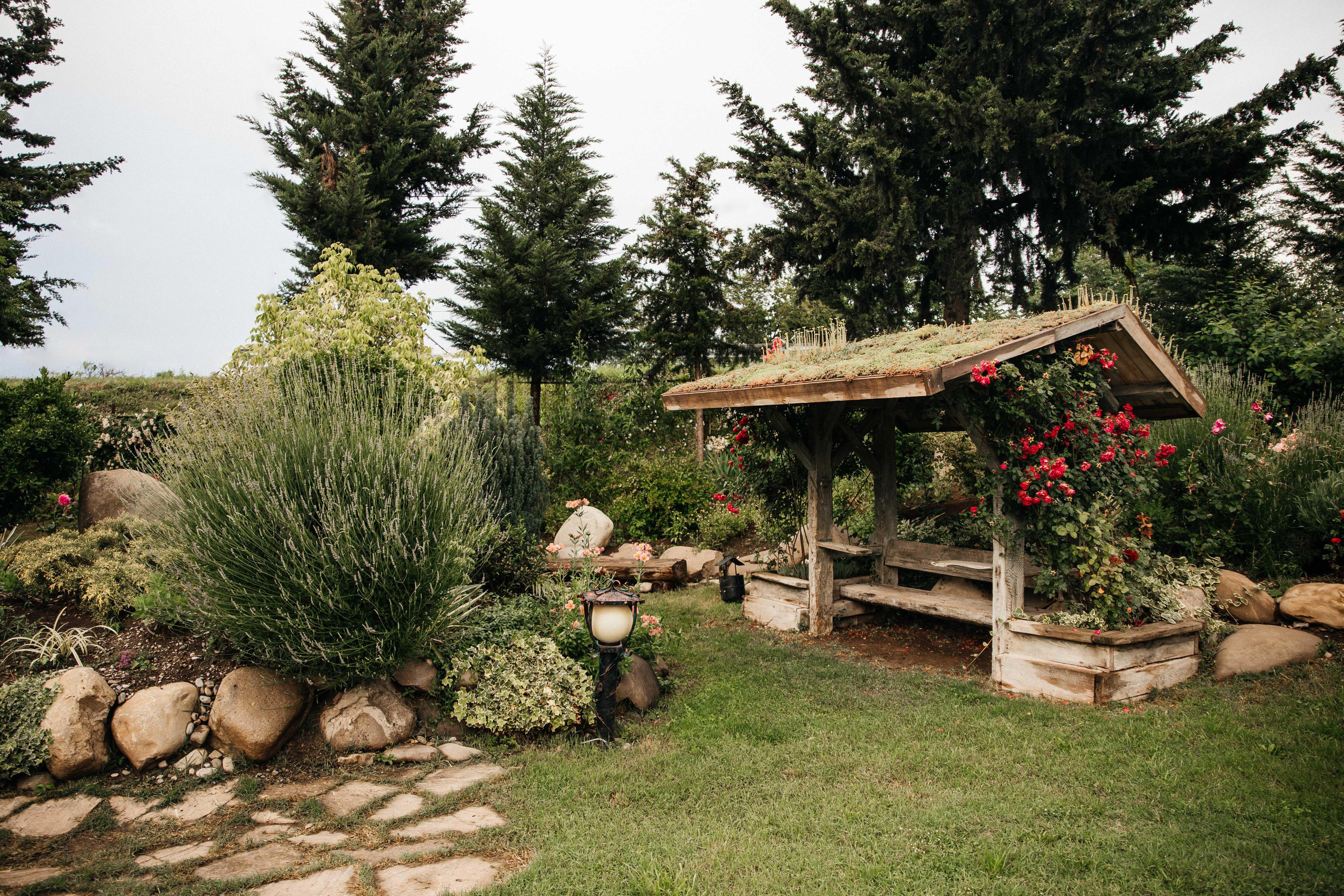 SHUMI WINERY. Georgia, Kakheti. Birthday Miron and Sophia. Фотограф Андрей Баксов