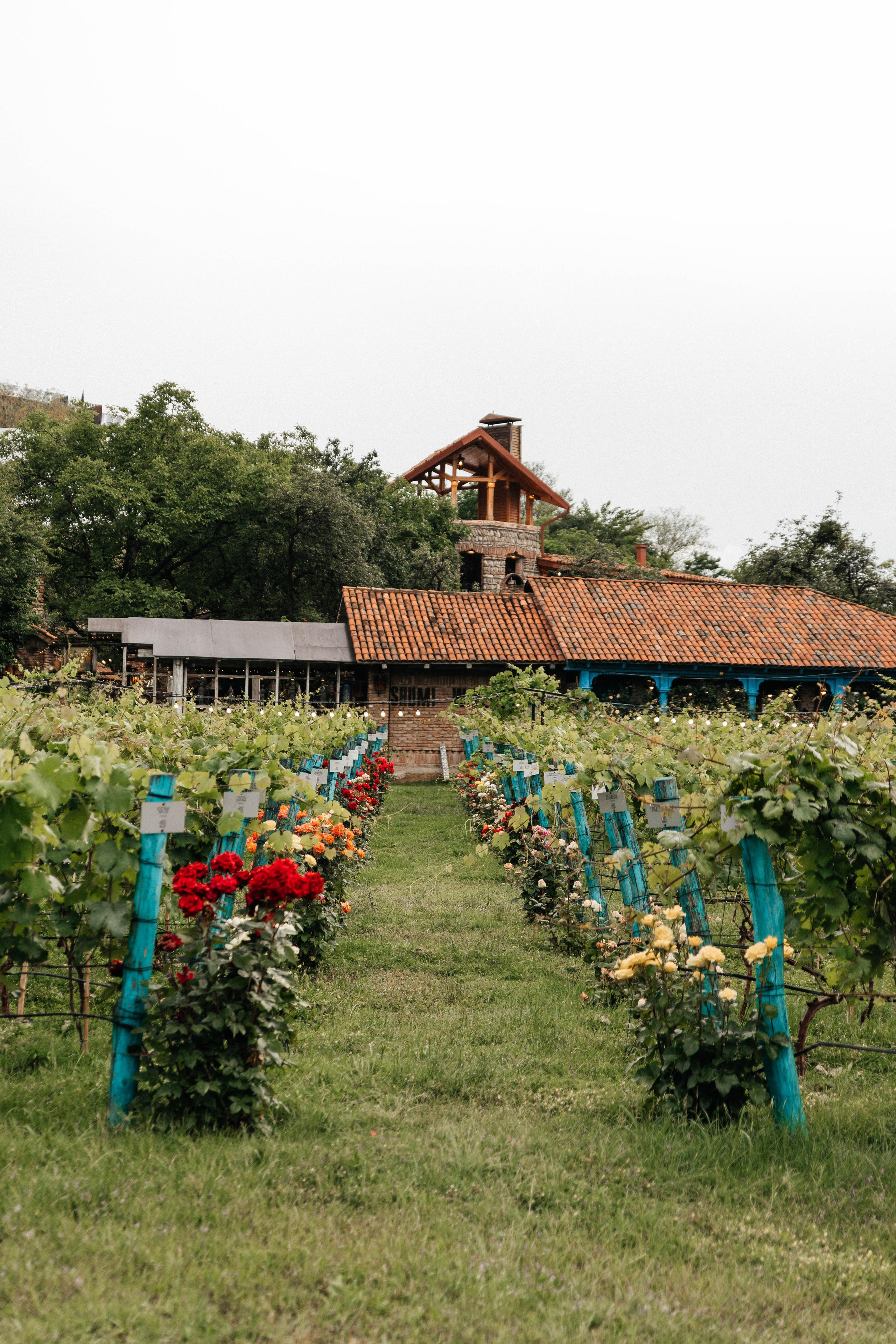 SHUMI WINERY. Georgia, Kakheti. Birthday Miron and Sophia. Фотограф Андрей Баксов