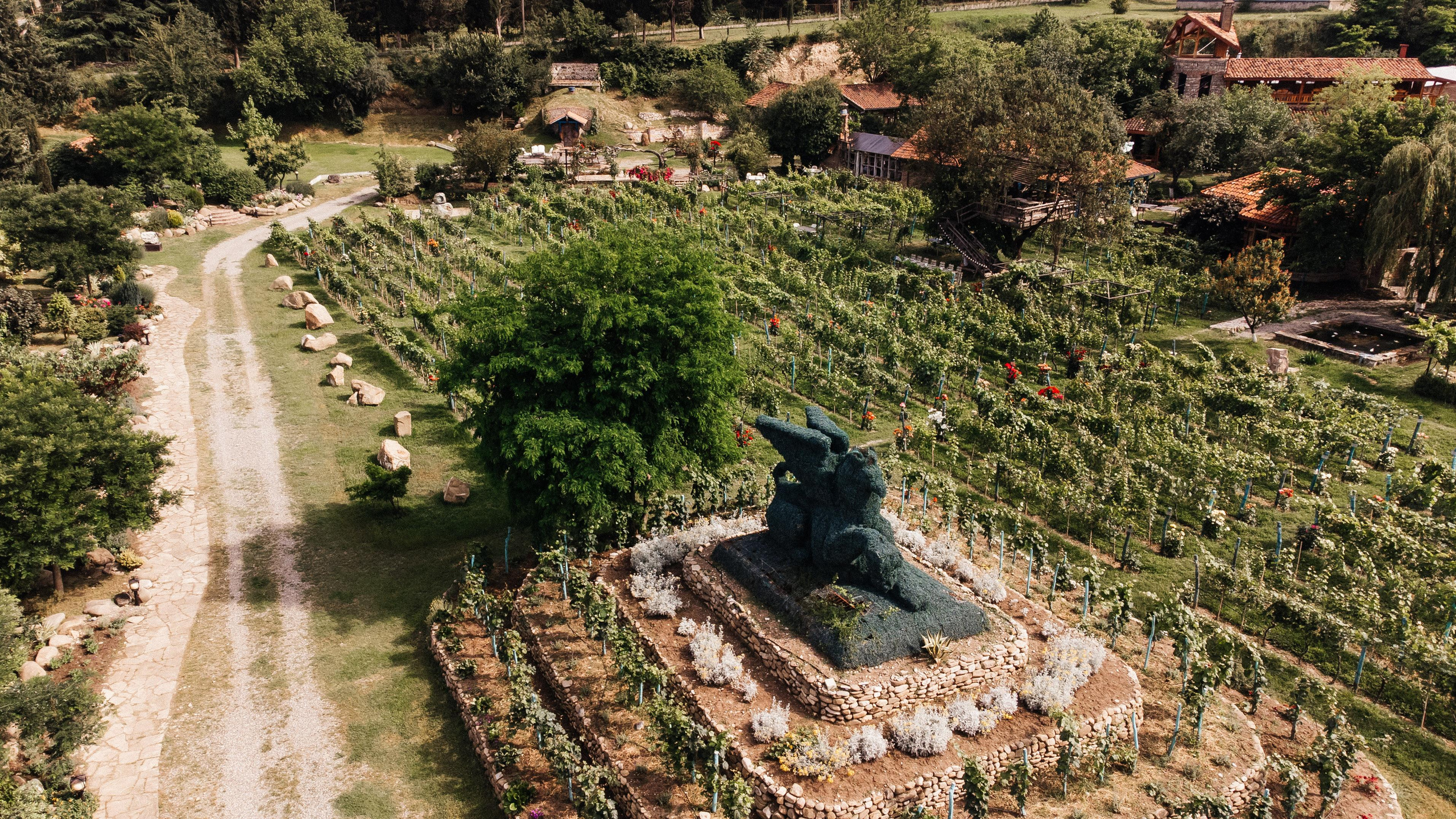 SHUMI WINERY. Georgia, Kakheti. Birthday Miron and Sophia. Фотограф Андрей Баксов